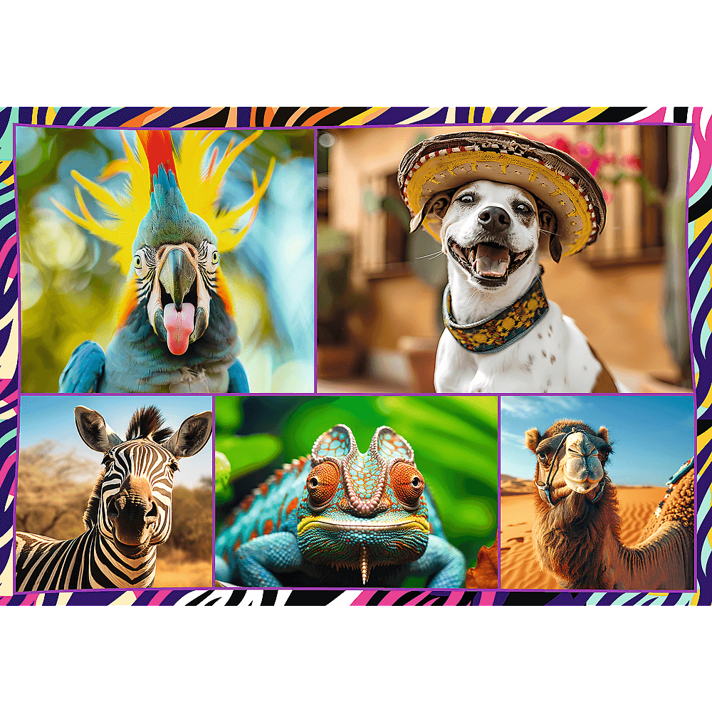 Un collage montrant un perroquet, un chien portant un chapeau, un zèbre, un caméléon et un chameau. Le fond a un motif zèbre.