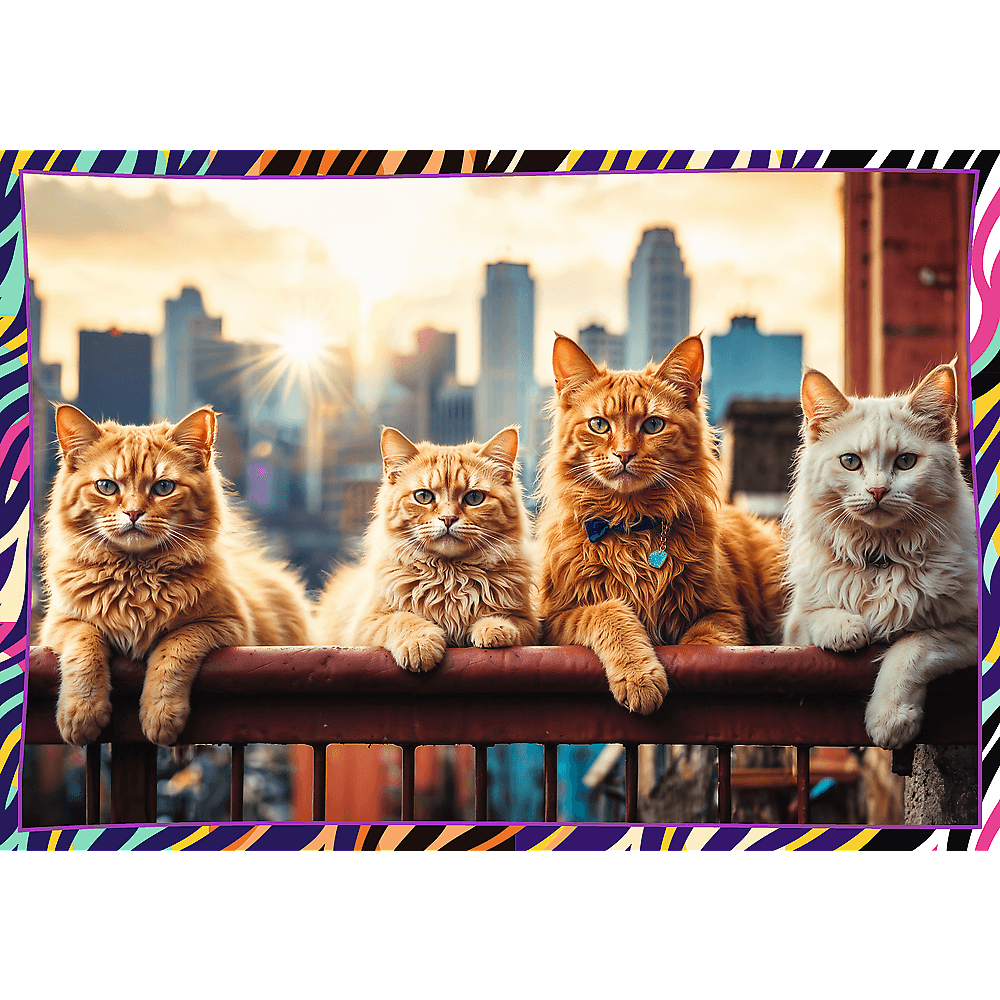 Quatre chats assis sur une balustrade, regardant la caméra. Un horizon urbain et un coucher de soleil en arrière-plan.