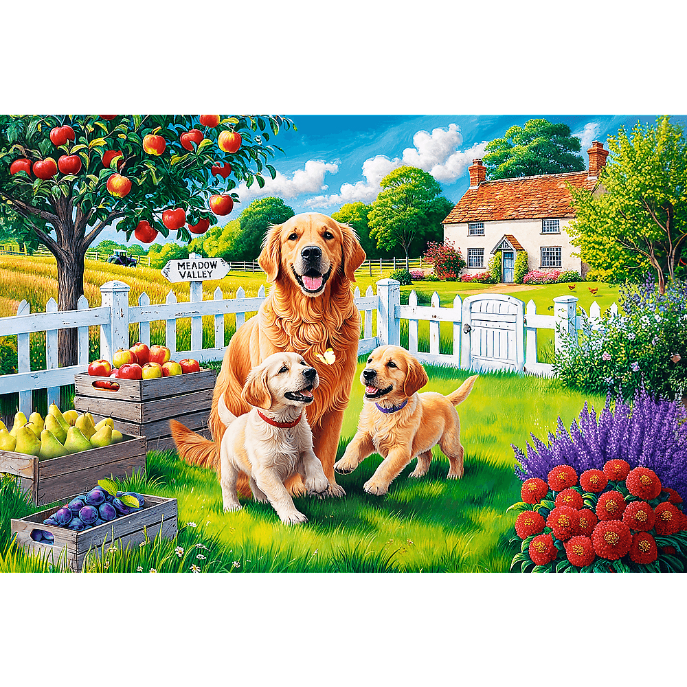Ein goldener Retriever mit zwei Welpen in einem Garten. Äpfel und Birnen in Kisten. Ein weißes Haus im Hintergrund.