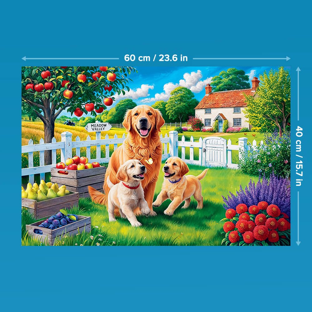 Golden Retriever, Welpen und ein Haus. Äpfel an einem Baum, Früchte in Kisten, ein weißer Zaun und ein Garten.