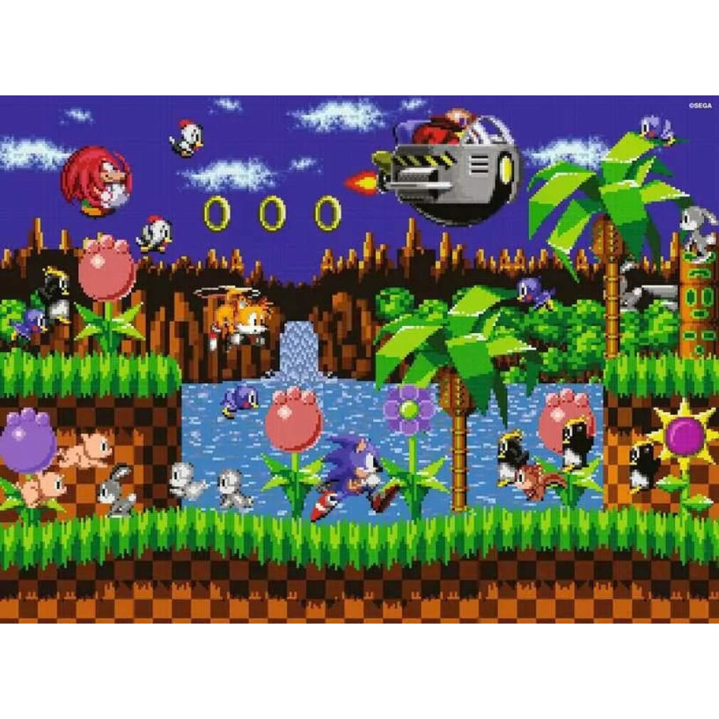 Sonic corre in una scena di videogioco classico. Include Knuckles, Tails, la nave del Dr. Eggman, palme, fiori e nemici.