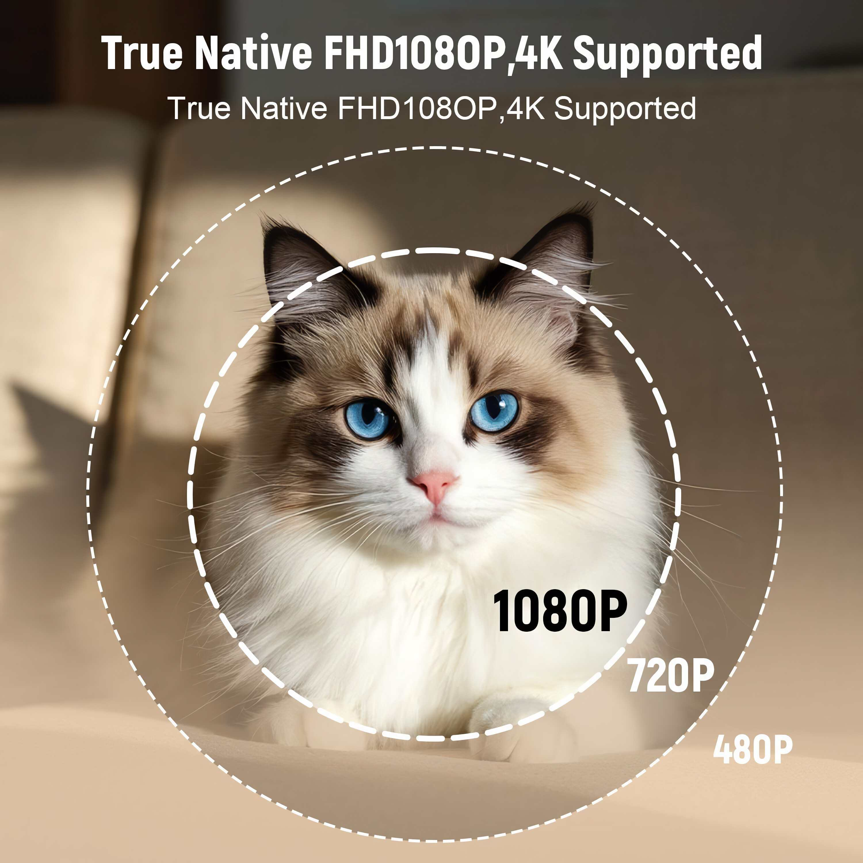 Eine Katze mit blauen Augen ist zentriert. Text: True Native FHD1080P, 4K Supported. Auflösungen: 1080P, 720P, 480P.