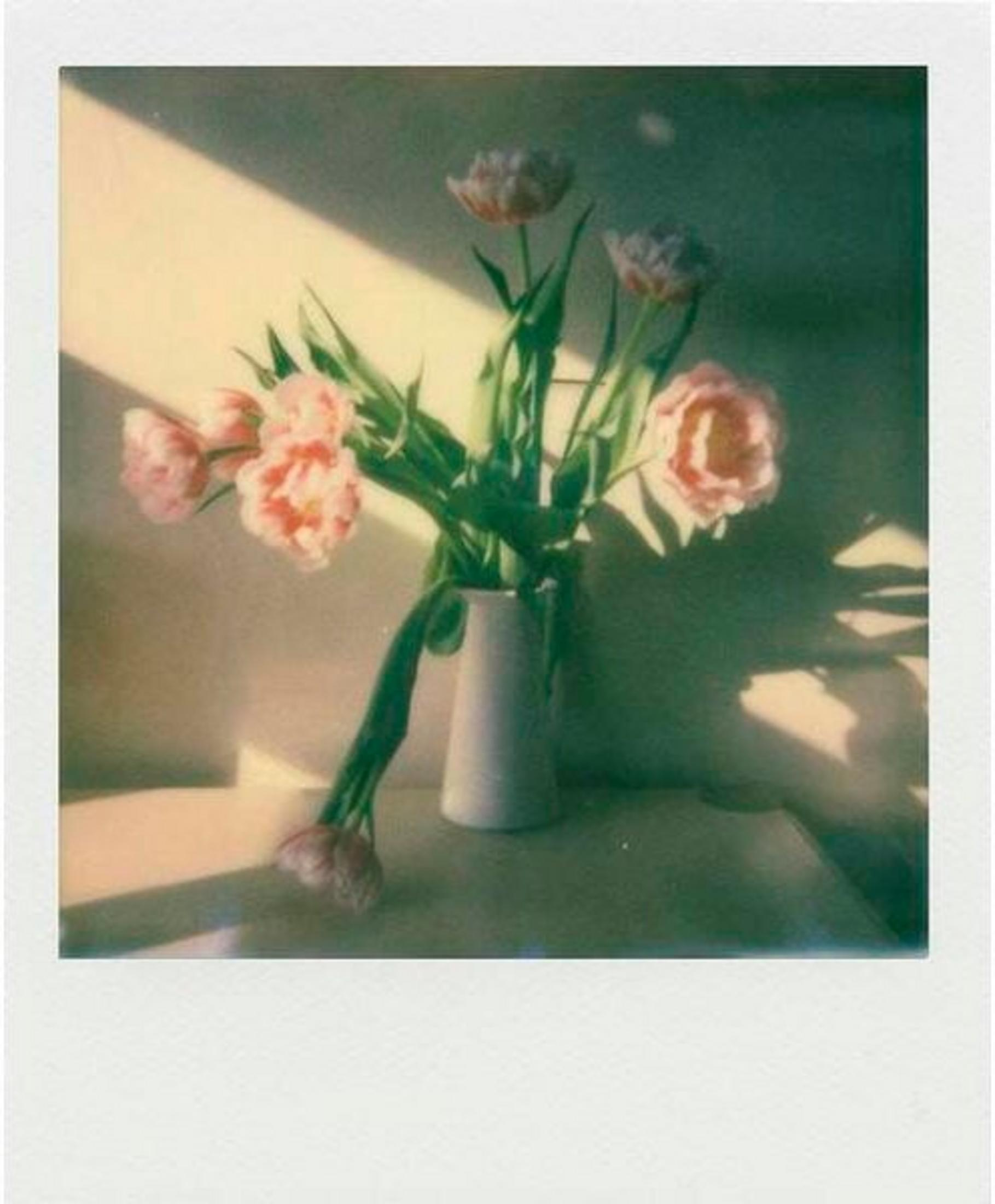 Zdjęcie polaroid różowych tulipanów w białym wazonie, na tle ściany ze światłem słonecznym.