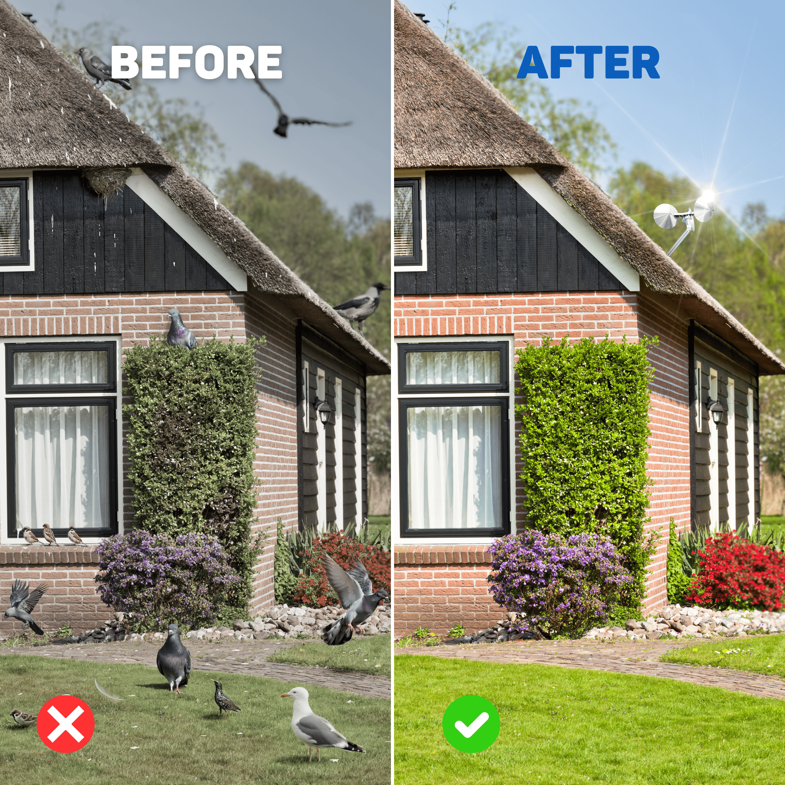 Before and after image of a house. Before shows birds and a messy yard. After shows a clean yard and a clear sky.