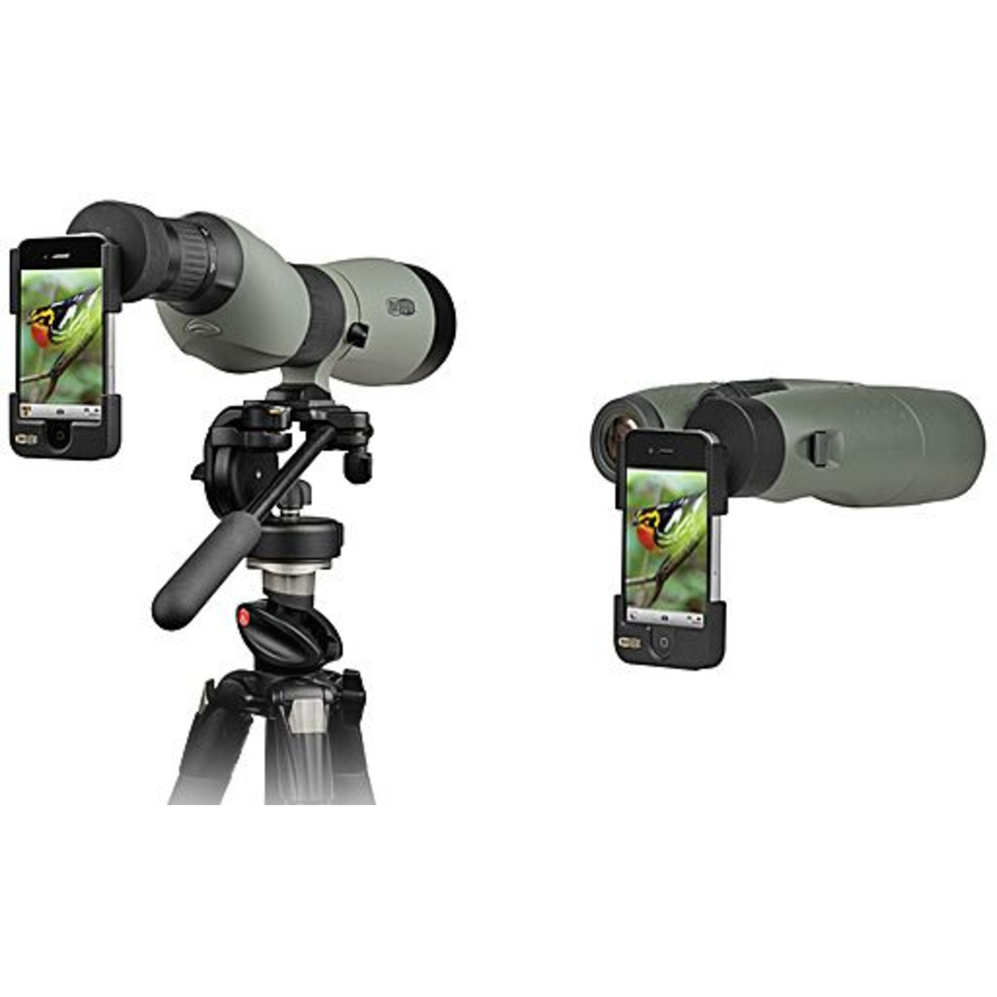 Zwei Spektive mit angeschlossenen Telefonen. Eines steht auf einem Stativ. Beide Telefone zeigen ein Bild eines Vogels.