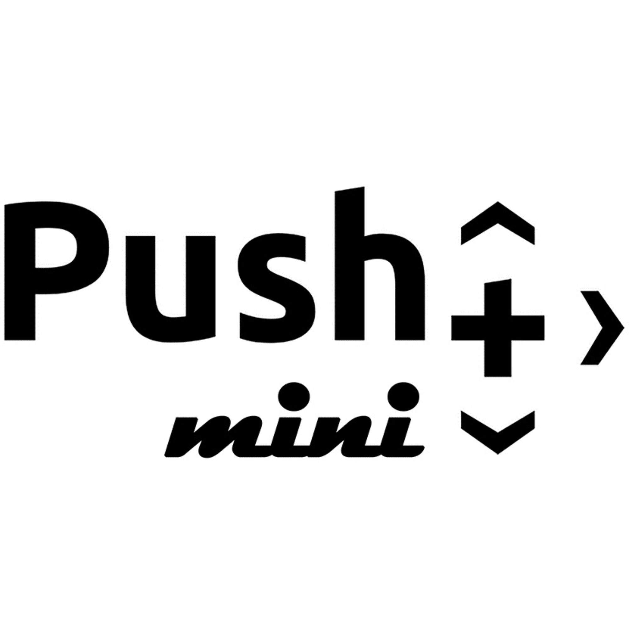 Das Logo zeigt 'Push mini'. Es gibt Pfeile nach oben und unten, ein Pluszeichen und einen Pfeil nach rechts.