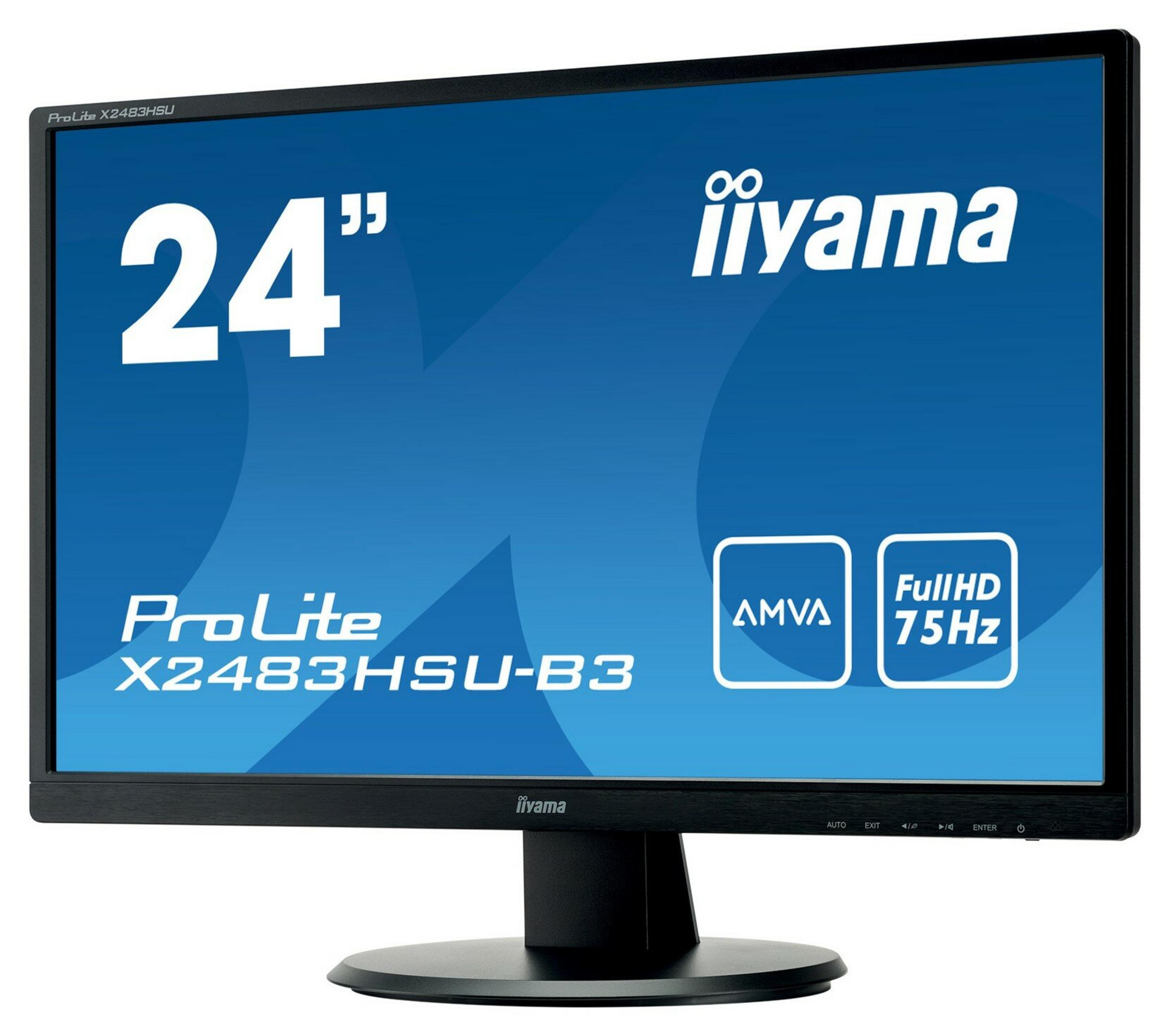 Een computermonitor met een zwart frame. Het heeft een blauw scherm met witte tekst en logo's. Het merk is 'iiyama'.