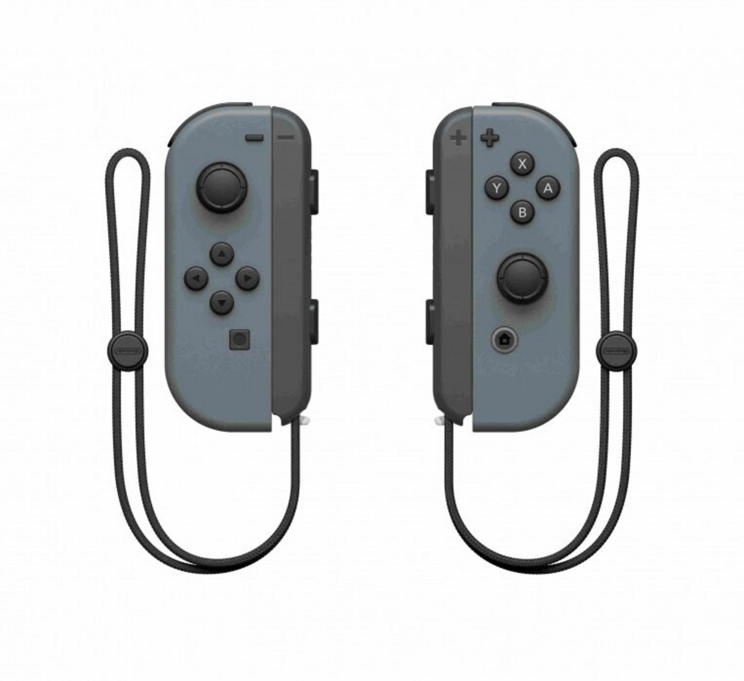 Zwei graue Nintendo Switch Joy-Con-Controller mit schwarzen Knöpfen und Schlaufen, vor weißem Hintergrund.