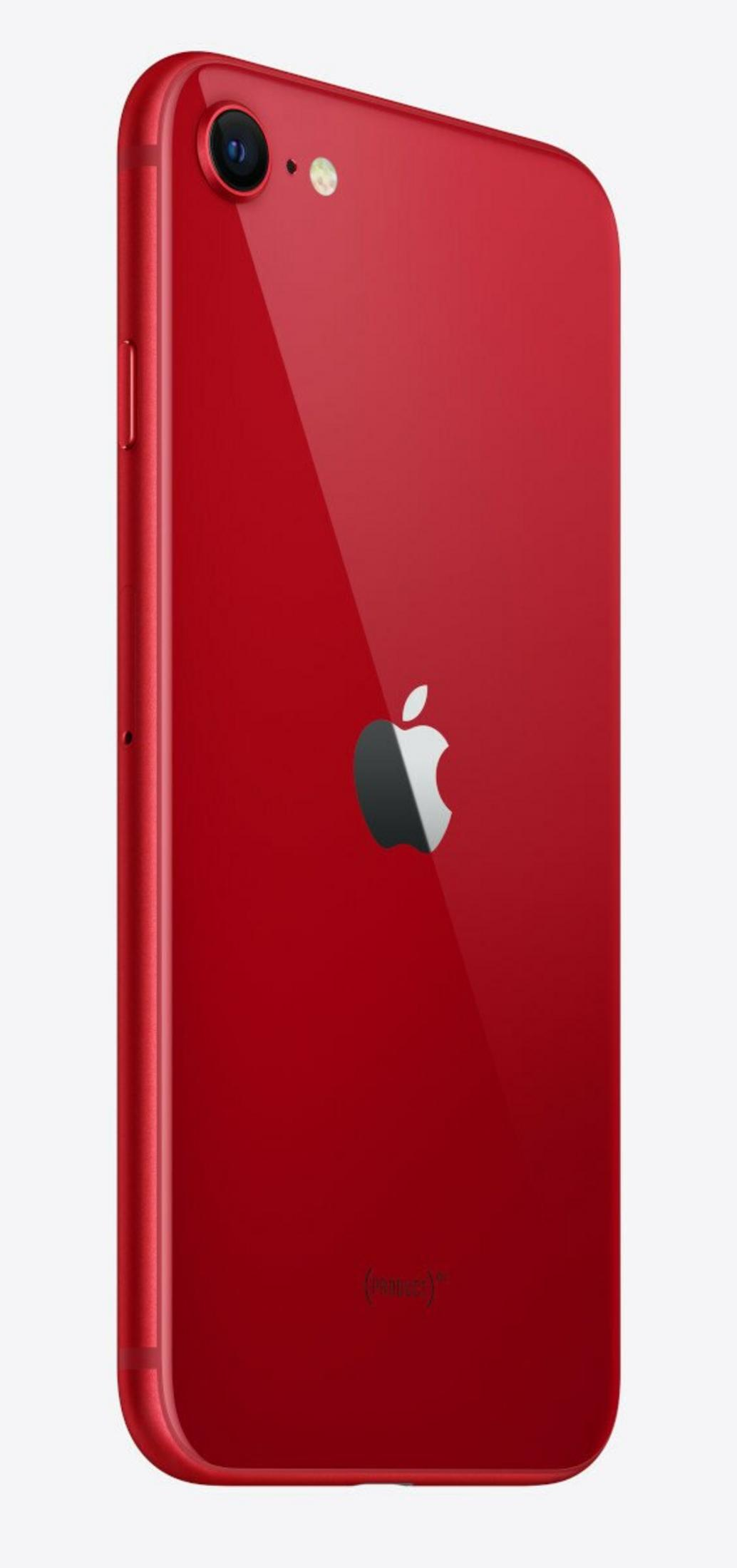 Ein rotes iPhone SE, leicht angewinkelt. Es hat das Apple-Logo, eine Kamera und eine glänzende Oberfläche. Das Telefon befindet sich auf weißem Hintergrund.