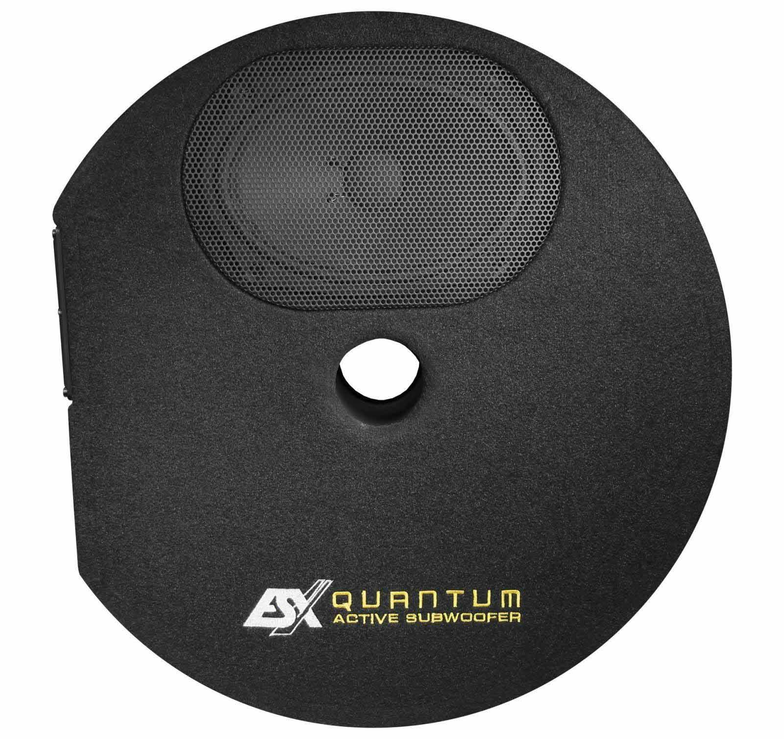 Ein schwarzer Subwoofer mit einem Mesh-Lautsprecher. Es hat ein Logo mit der Aufschrift 'Quantum Active Subwoofer'.