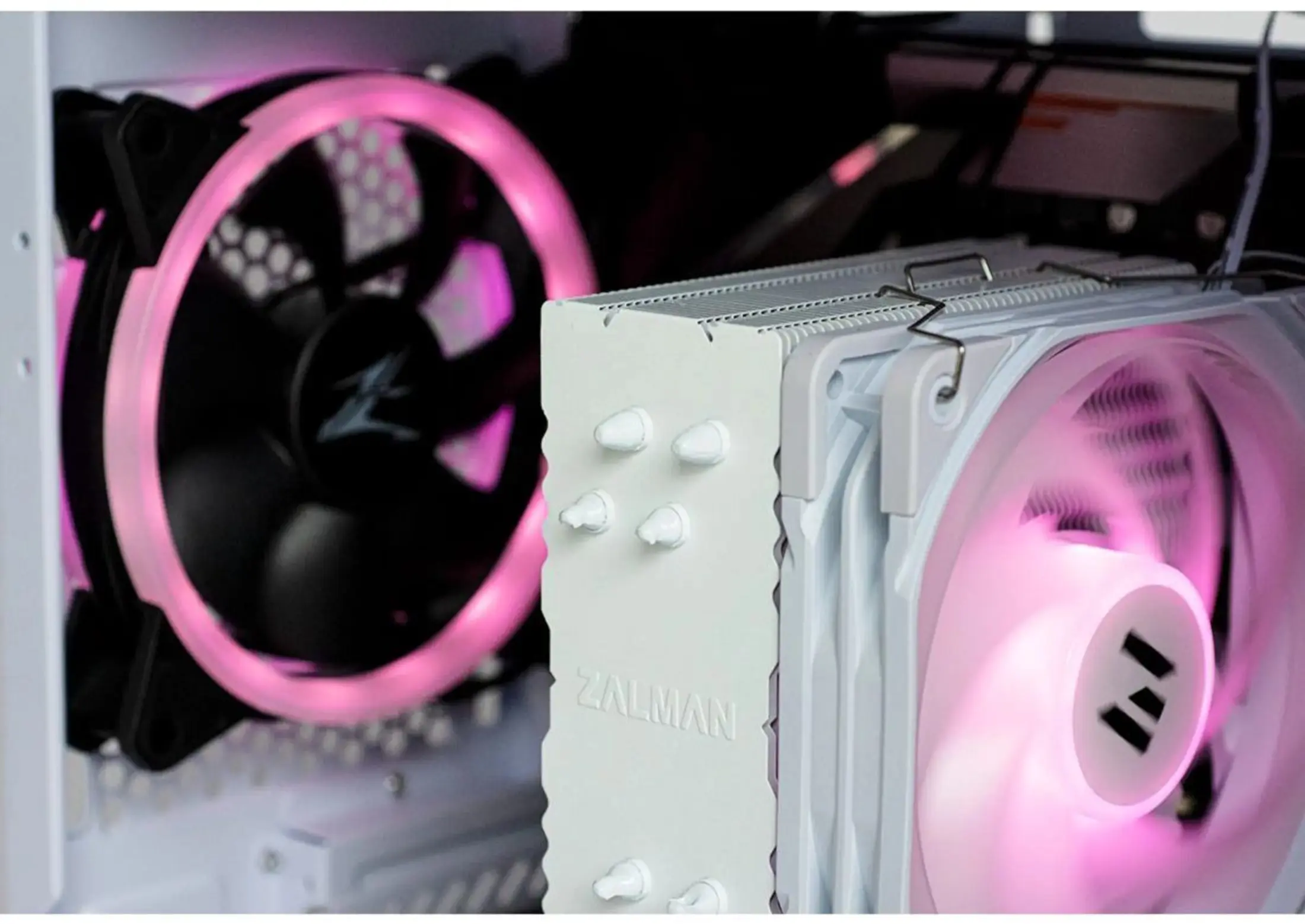 PC-componenten: Een witte CPU-koeler met een roze verlichte ventilator rechts en een zwarte ventilator met roze licht links.