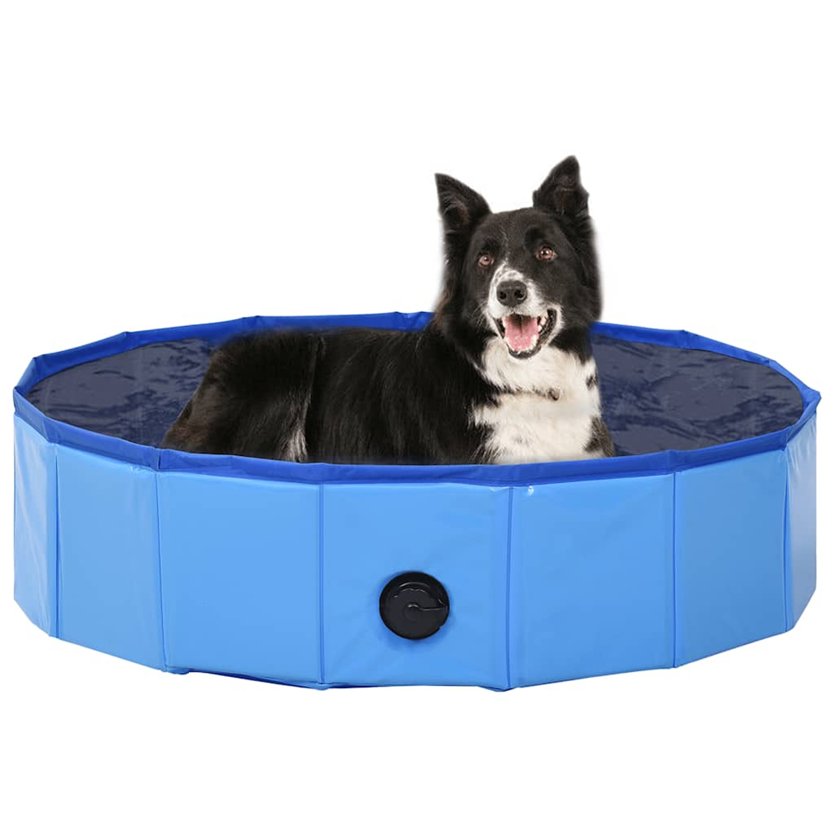 Ein schwarz-weißer Hund entspannt sich in einem blauen, faltbaren Pool. Der Hund hat das Maul offen, der Hintergrund ist weiß.