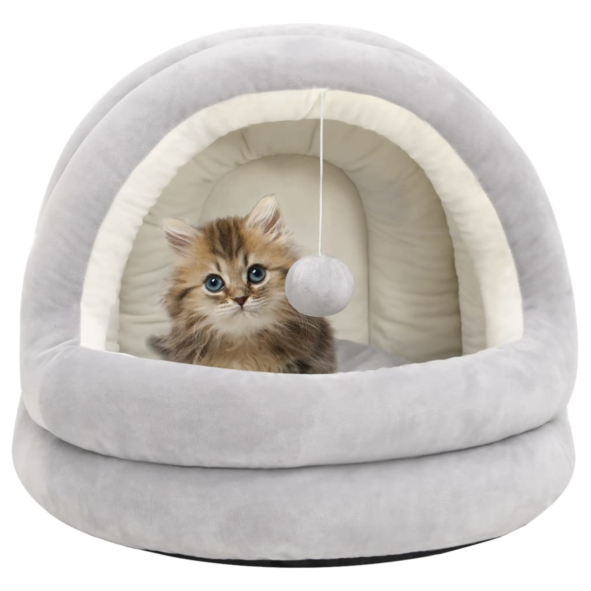 Ein flauschiges Kätzchen mit blauen Augen liegt in einem grauen Katzenbett. Ein kleiner Ball hängt von der Oberseite des Bettes.