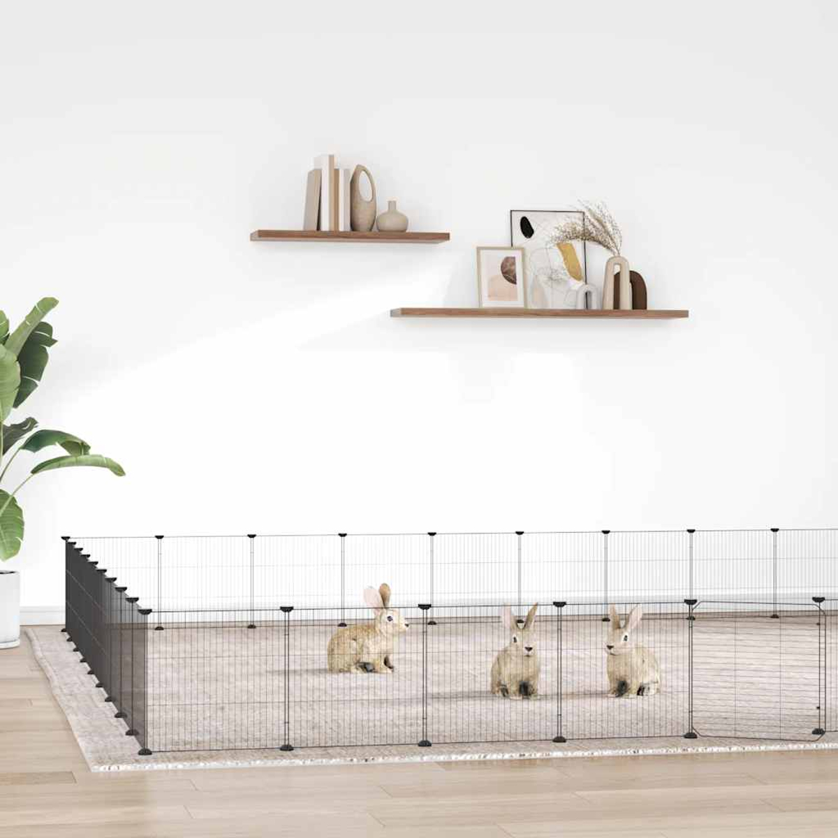 Drei Kaninchen sitzen in einem Gehege auf einem Teppich. Regale darüber halten Dekorationen. Eine Pflanze befindet sich in der linken Ecke. Der Boden ist aus Holz.