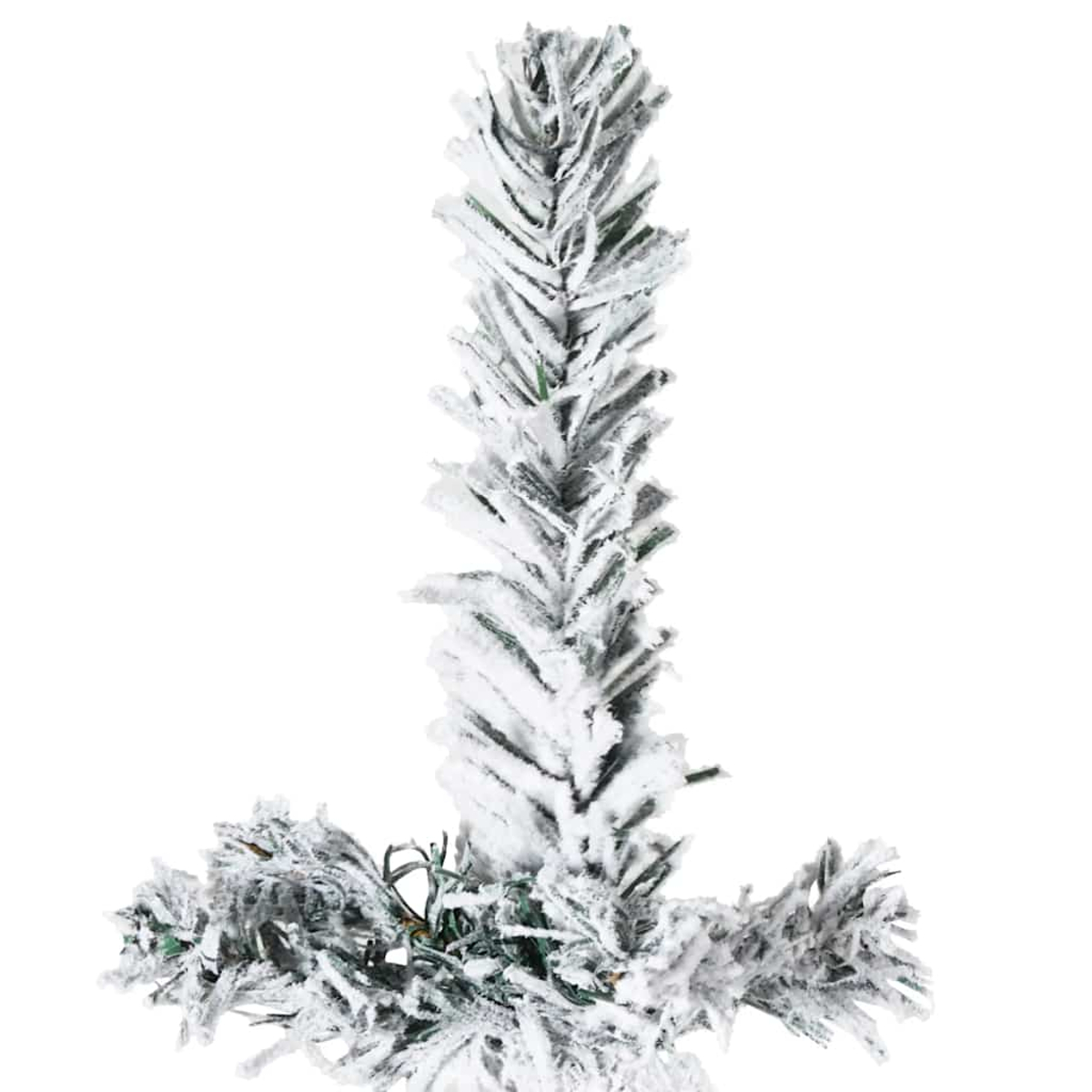 Nahaufnahme eines schneebedeckten Weihnachtsbaumzweigs vor weißem Hintergrund. Die Tannennadeln sind grün mit weißem Schnee.