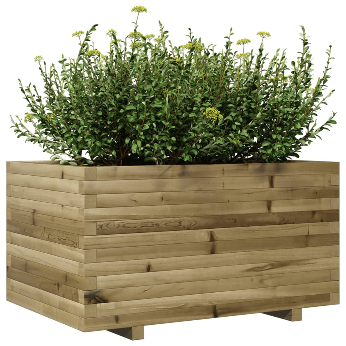 Ein rechteckiger Pflanzkasten aus Holz enthält grüne Pflanzen mit kleinen gelben Blüten. Die Kiste besteht aus horizontalen Holzplanken.