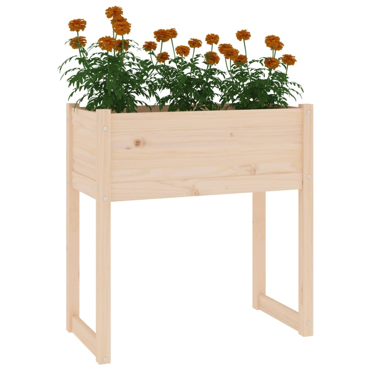 Ein hölzerner Pflanzkasten mit orangefarbenen Blumen steht auf weißem Hintergrund. Der Pflanzer wird von Holzbeinen angehoben.