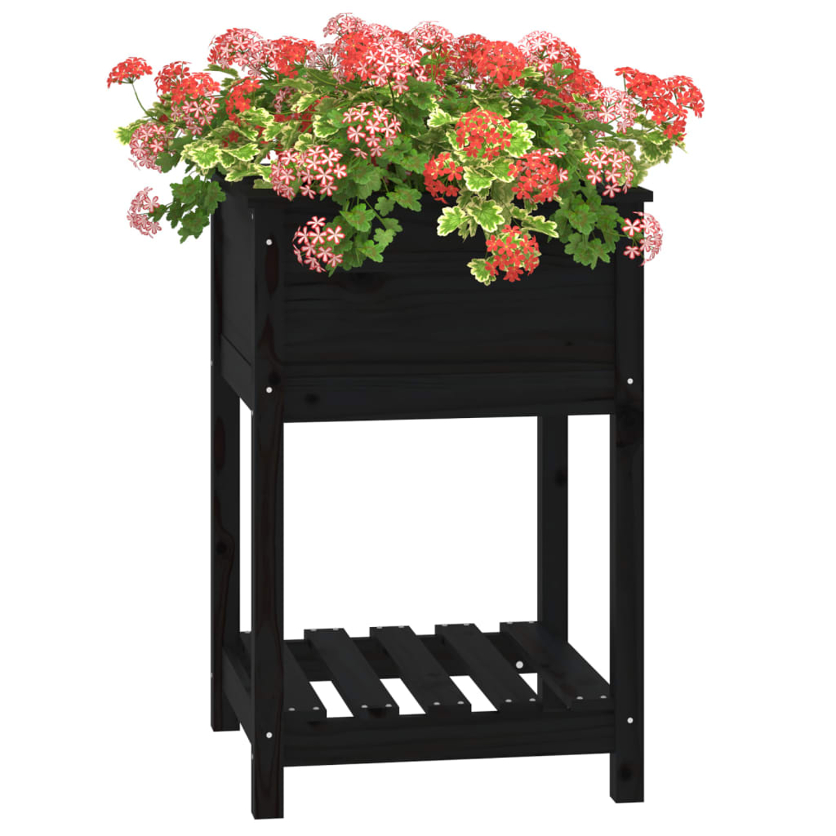 Schwarzer Holzpflanzkasten mit roten und rosa Blumen. Der Pflanzer hat ein Regal und steht auf vier Beinen.