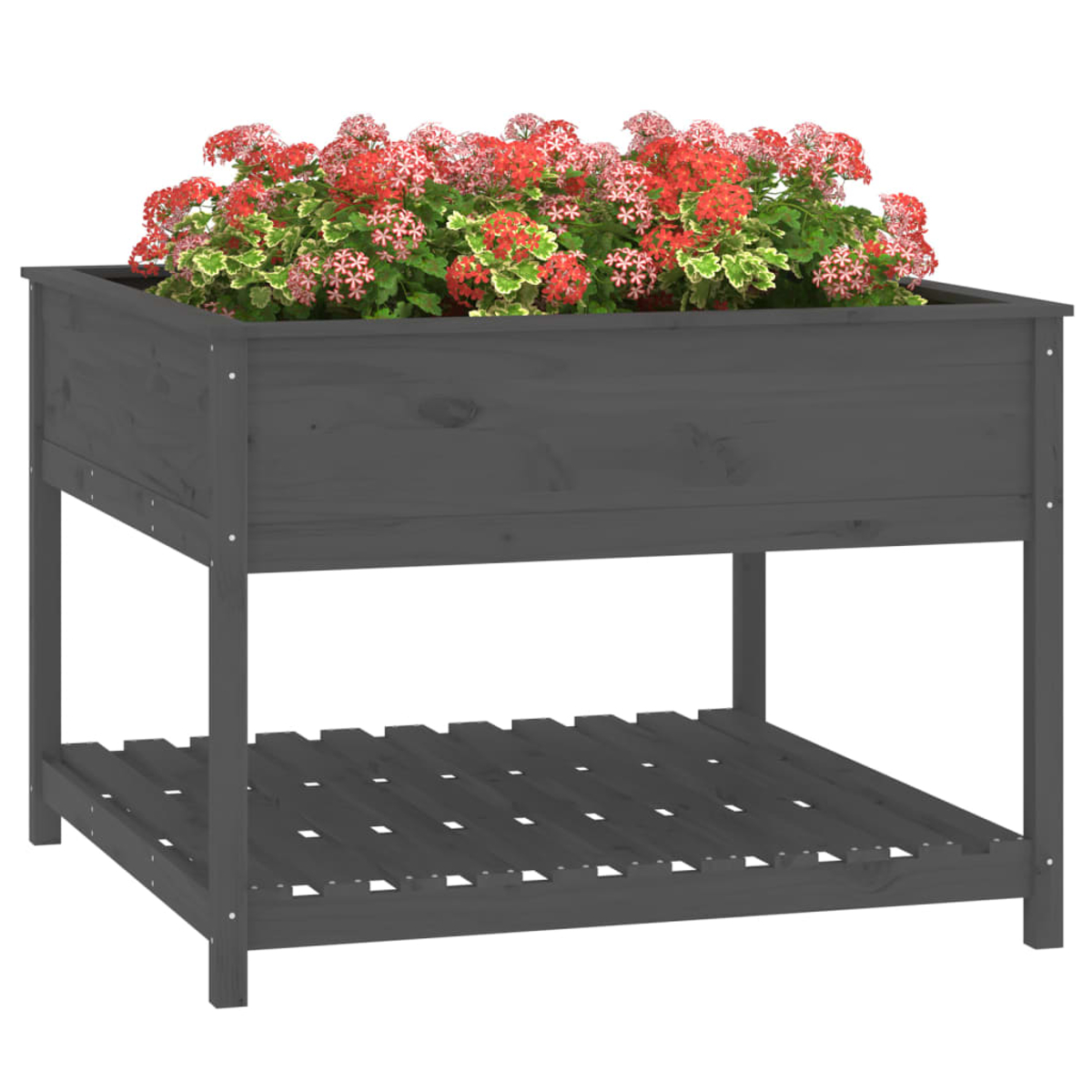 Holzpflanzkasten mit Blumen. Rote und grüne Blumen in einem grauen Holzpflanzkasten. Der Pflanzkasten hat ein Regal darunter.