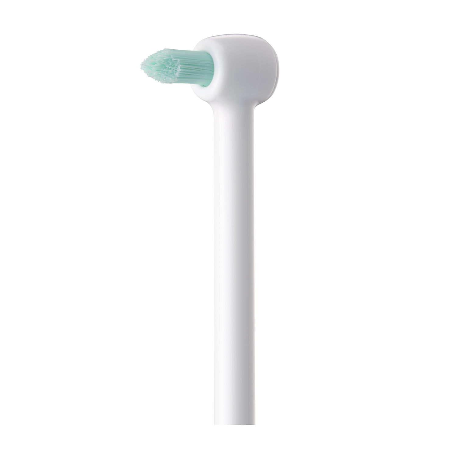 Une tête de brosse à dents blanche avec une brosse vert menthe. C'est contre un fond blanc.