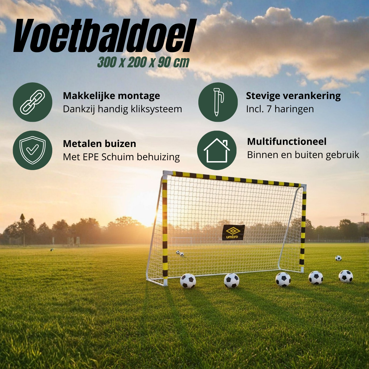 A soccer goal on a green field with soccer balls. The sky is blue with clouds. Text in Dutch describes the goal's features.
