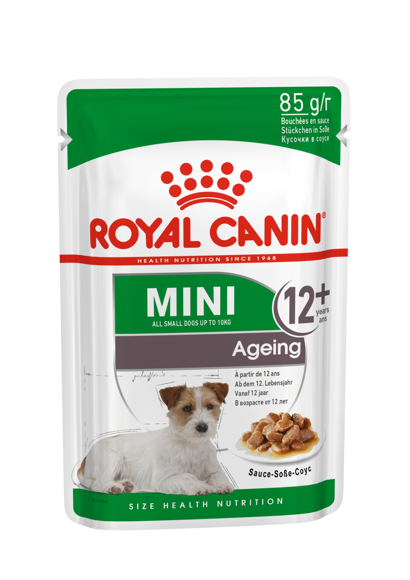 Paquete de comida para perros con Jack Russell Terrier. Texto incluye 'Royal Canin', 'Mini', 'Ageing' y '12+'.