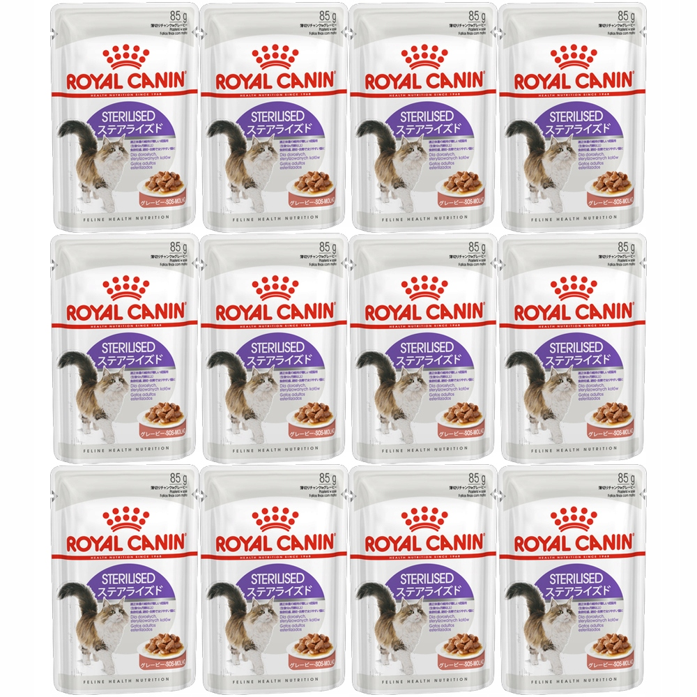 Wiele saszetek z karmą dla kotów. Każda saszetka ma obrazek kota i tekst po japońsku. Marka 'Royal Canin', 'Sterilised'.