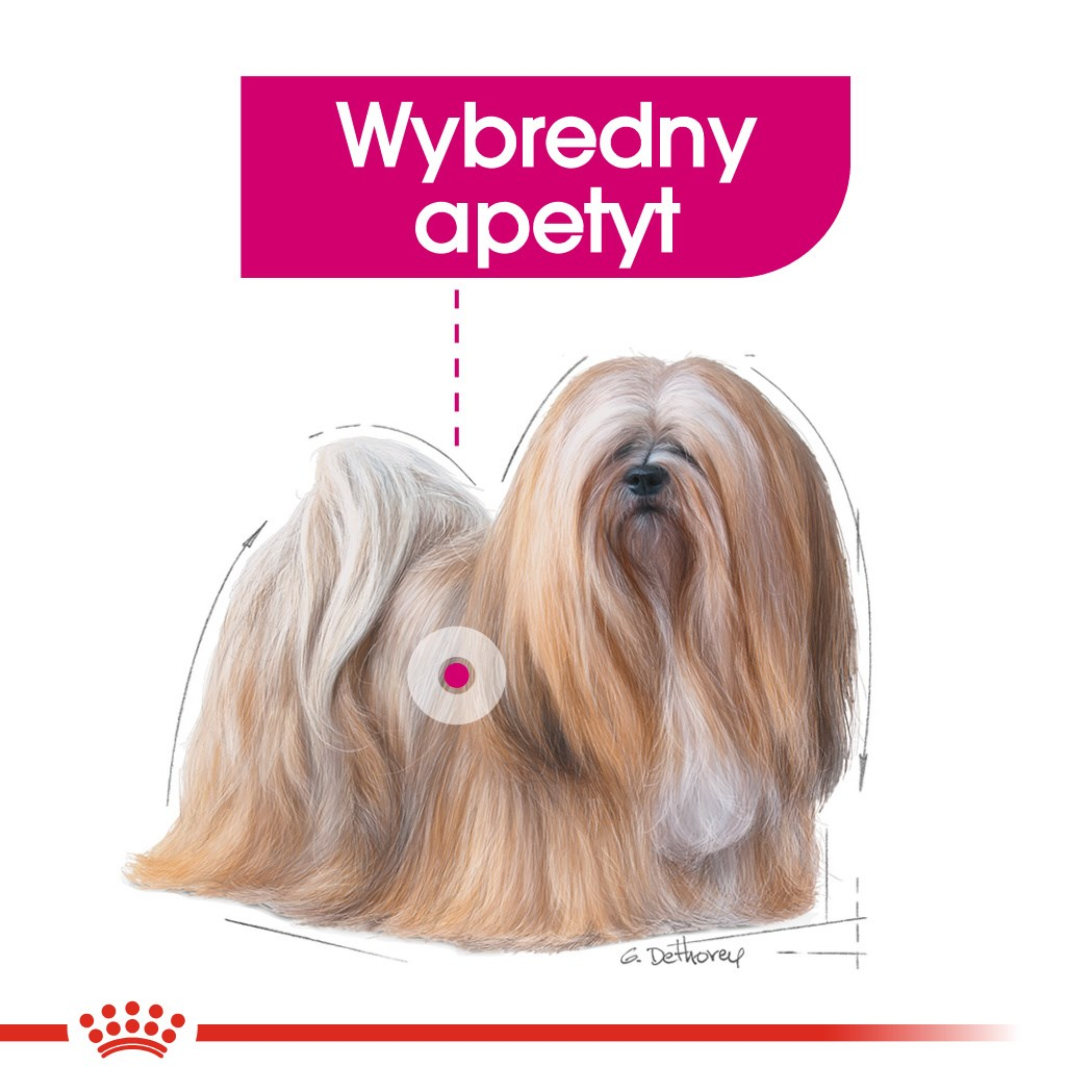 Un perro peludo con pelo largo y marrón claro. Una pancarta rosa en la parte superior dice 'Wybredny apetyt'. Una línea roja y un logo abajo.
