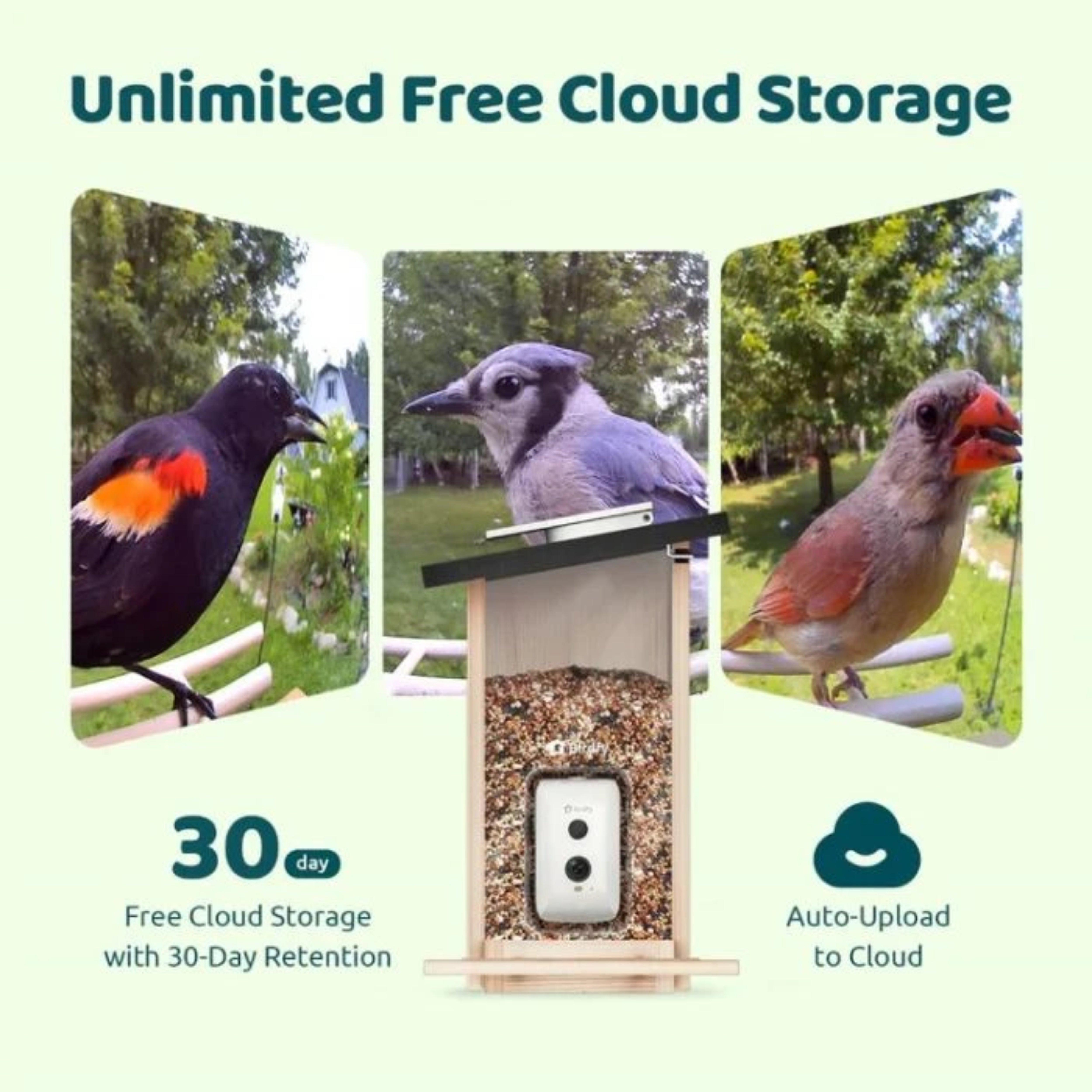 L'immagine mostra una mangiatoia per uccelli con uccelli e testo sull'archiviazione cloud, incluso un uccello nero con arancione.