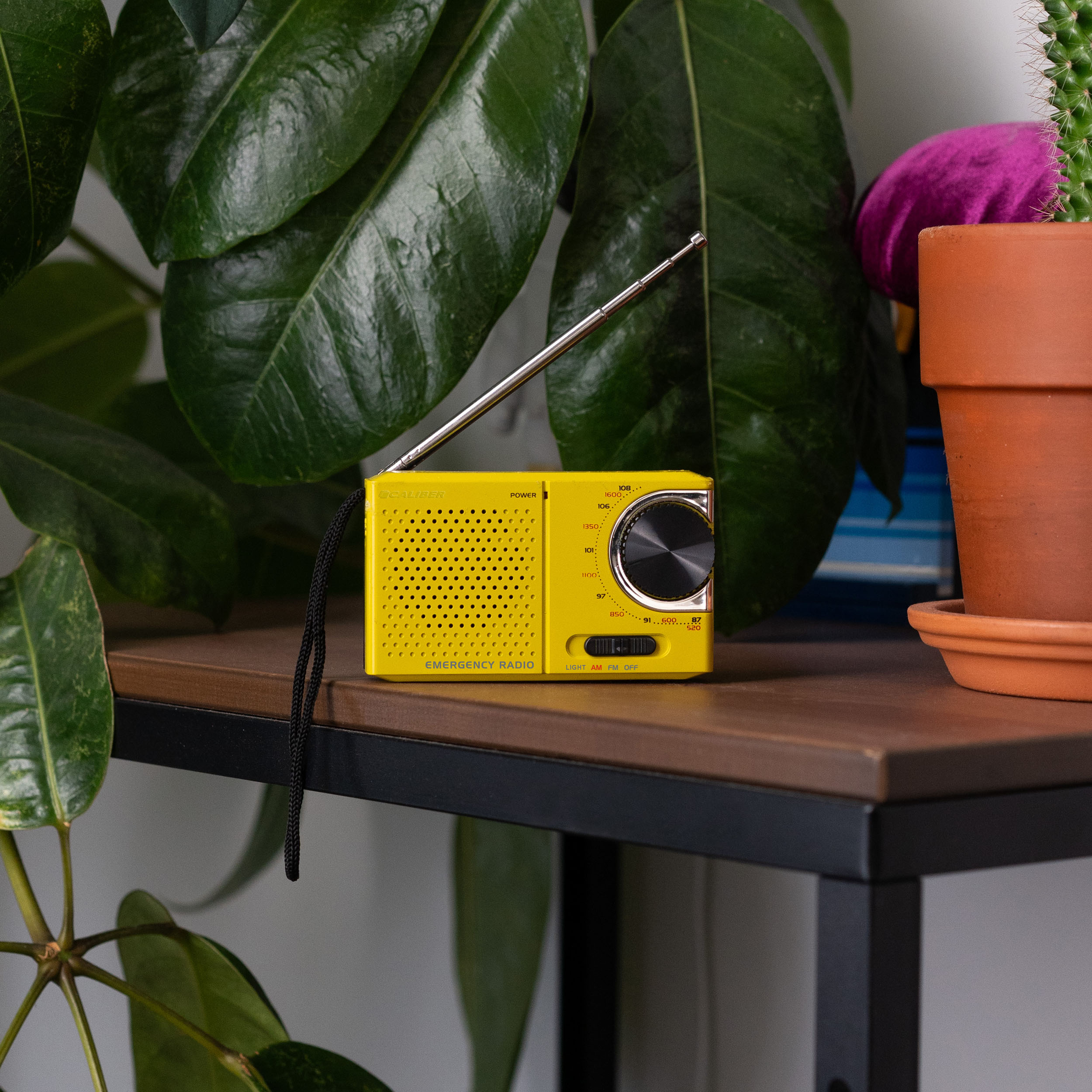 A yellow emergency radio sits on a shelf. Green leaves surround it, with a cactus and purple flower in the background.