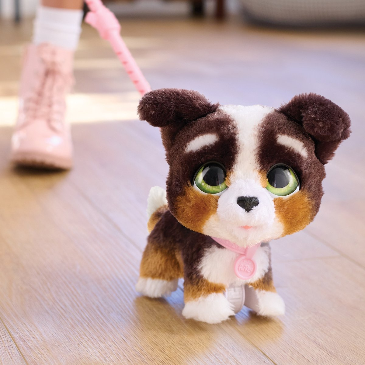 Un chiot jouet avec une fourrure marron, blanche et beige est en laisse. La jambe et la botte rose d'une personne sont en arrière-plan.