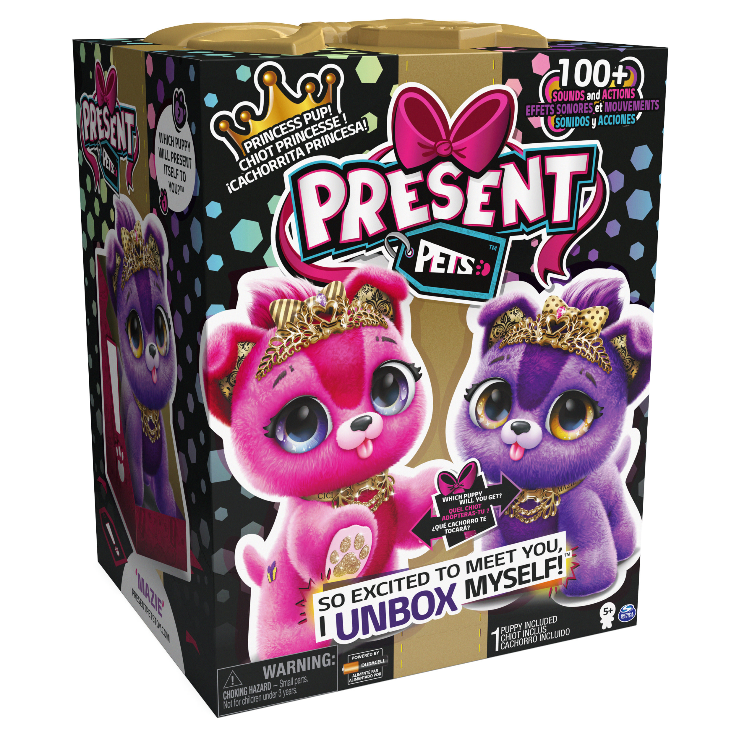 L'immagine sulla scatola presenta un cucciolo rosa e viola, tiare dorate e la scritta 'Present Pets'.