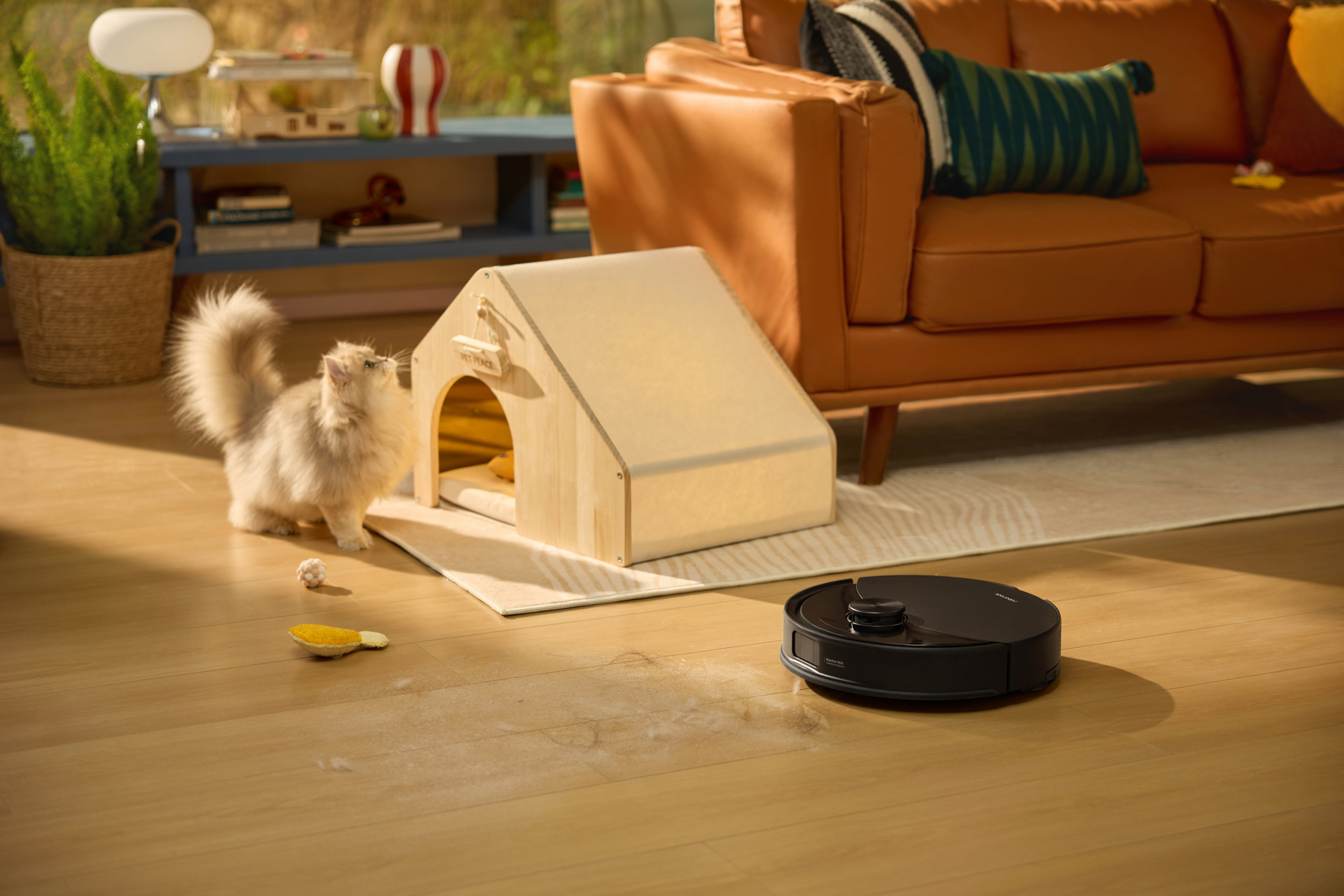 Kot patrzy na drewniany domek dla zwierząt. Robot sprzątający i zabawki leżą na drewnianej podłodze. W tle kanapa.