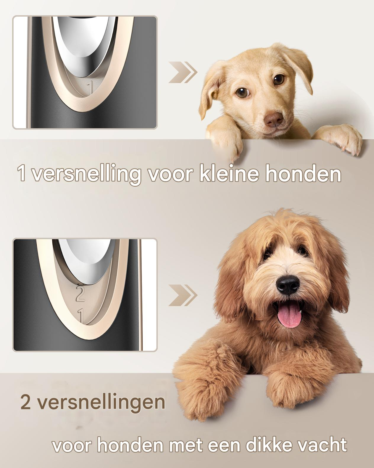 Obraz przedstawia produkt do pielęgnacji psów. Ma dwie prędkości. Pokazano dwa psy, jeden szczeniak, a drugi puszysty pies.