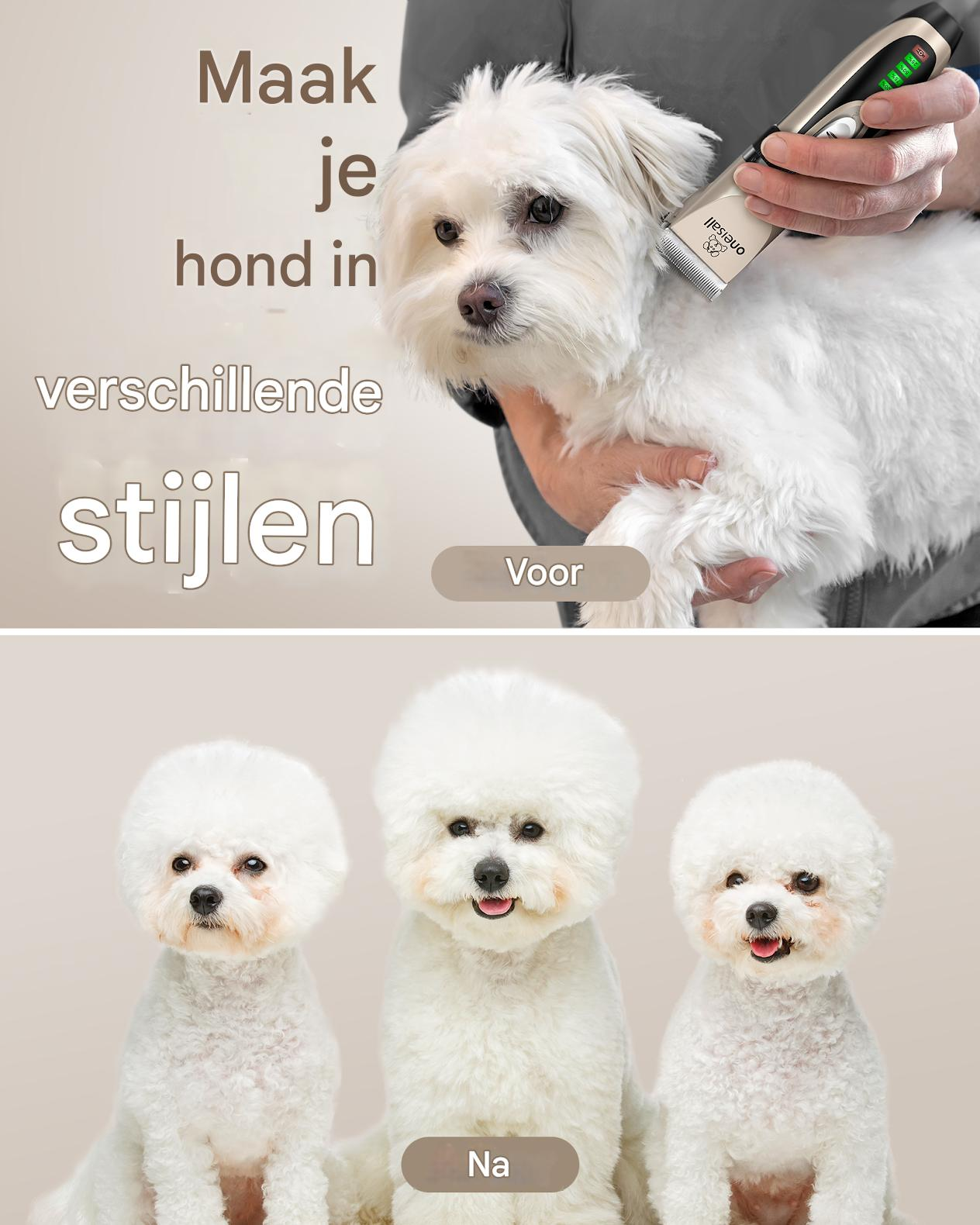 Biały pies jest pielęgnowany elektryczną maszynką. Tekst: Zrób swojego psa w różnych stylach. Trzy puszyste białe psy poniżej.