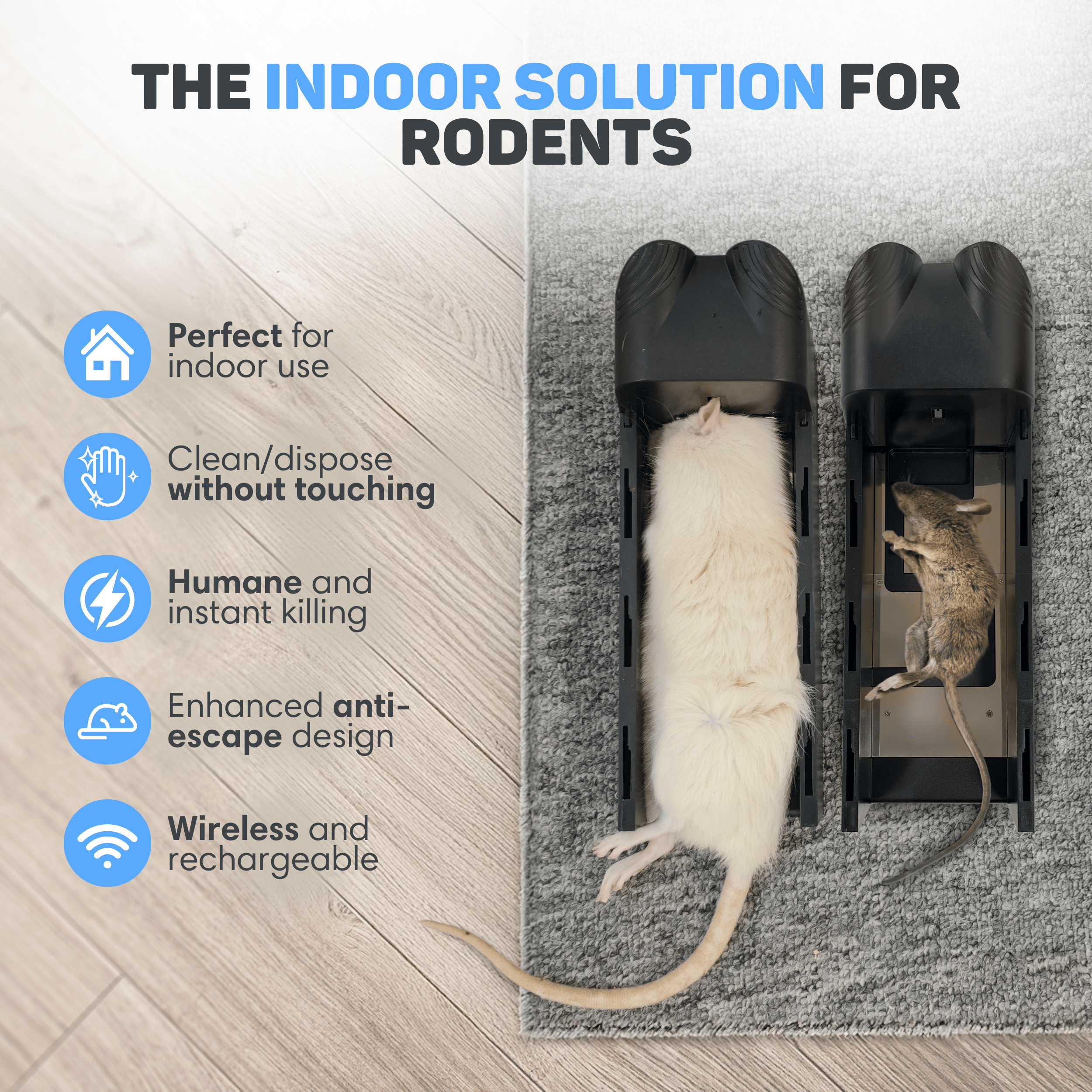 Two black rodent traps with captured rodents on a wooden floor and gray rug.