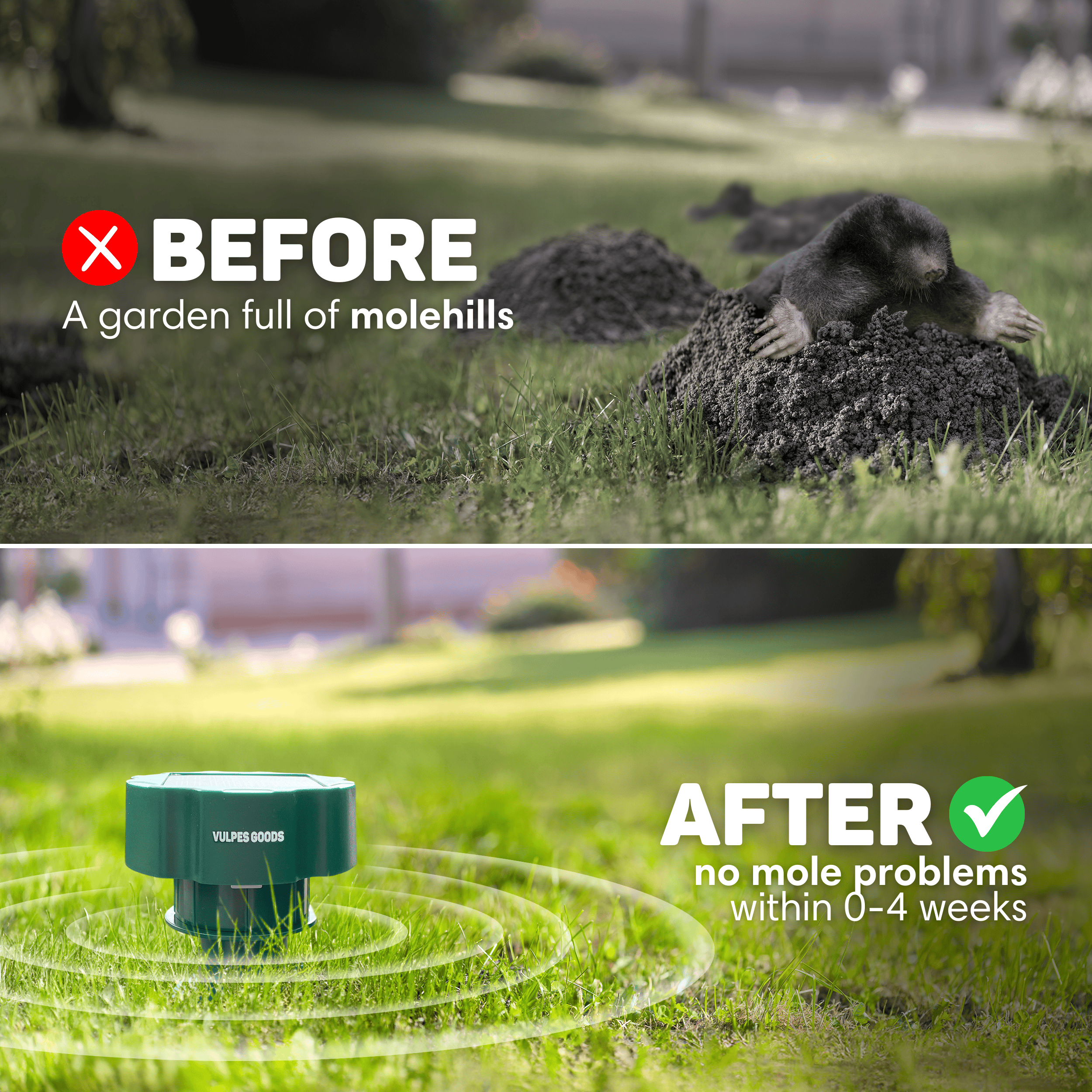 Das Bild zeigt einen Garten vor und nach der Maulwurfentfernung. Vorher: Maulwurfshügel. Nachher: grünes Gerät im Gras.