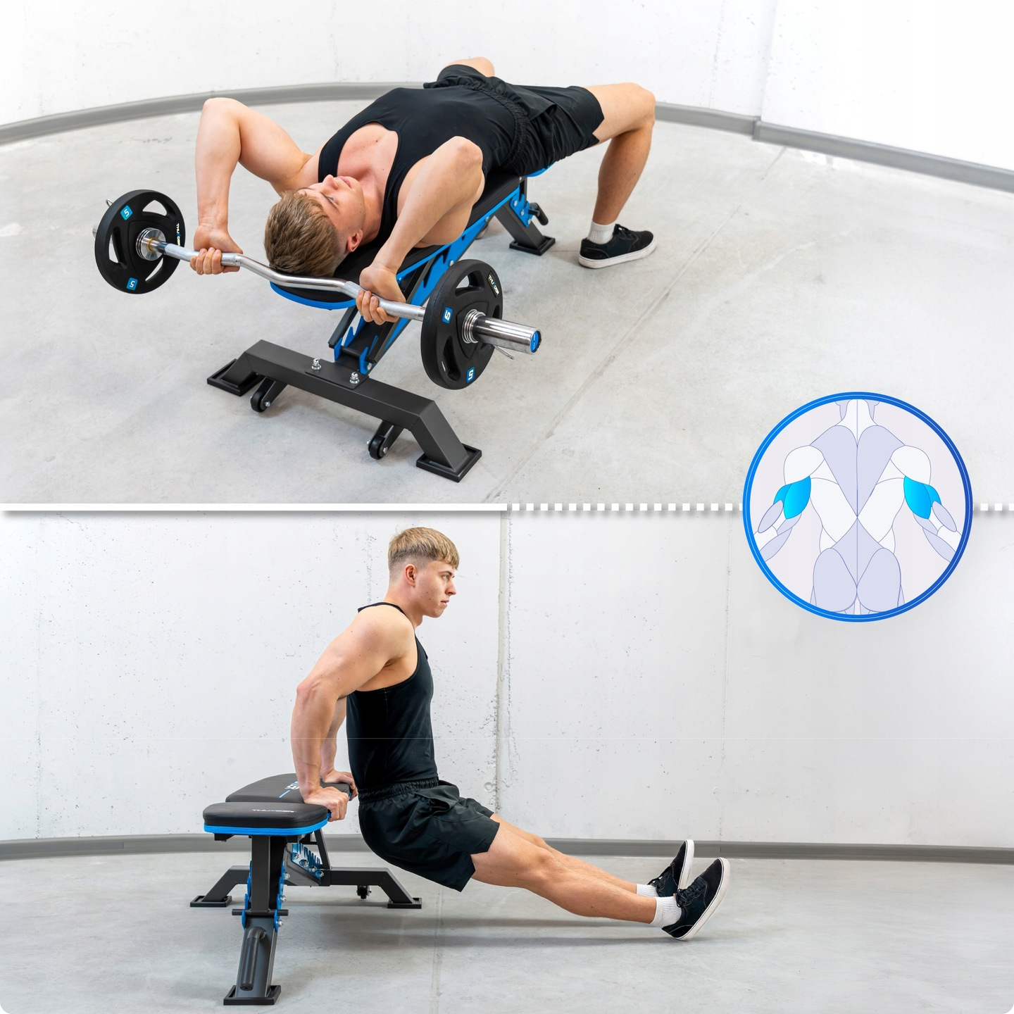 Mężczyzna ćwiczy z ciężarami i ławeczką. Inny mężczyzna robi pompki na ławeczce. Schemat pokazuje używane grupy mięśni.