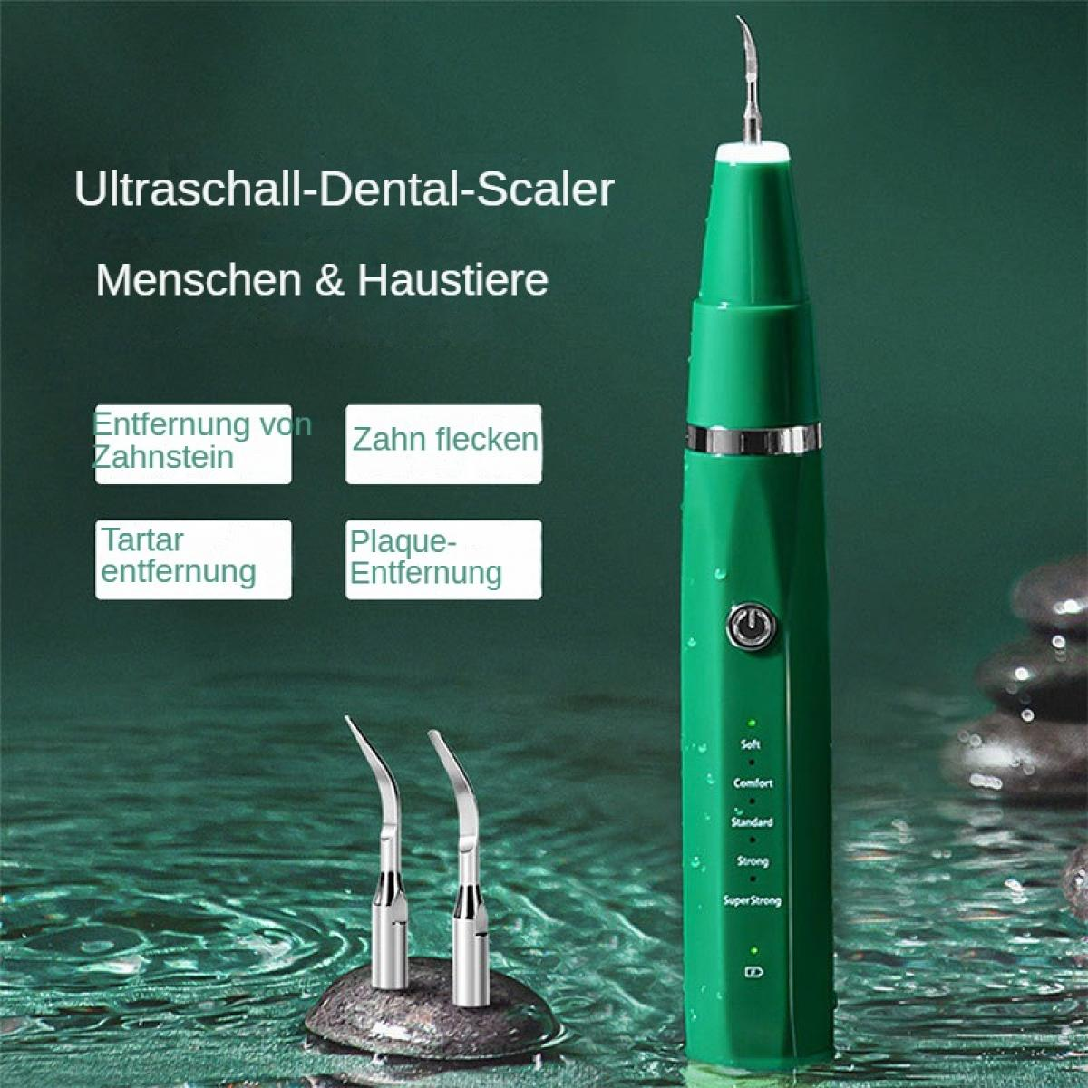 Grüner Zahnsteinentferner mit zwei Spitzen und einem Ein- / Ausschalter. Der Text enthält 'Ultraschall-Dental-Scaler', 'Menschen & Haustiere', etc.