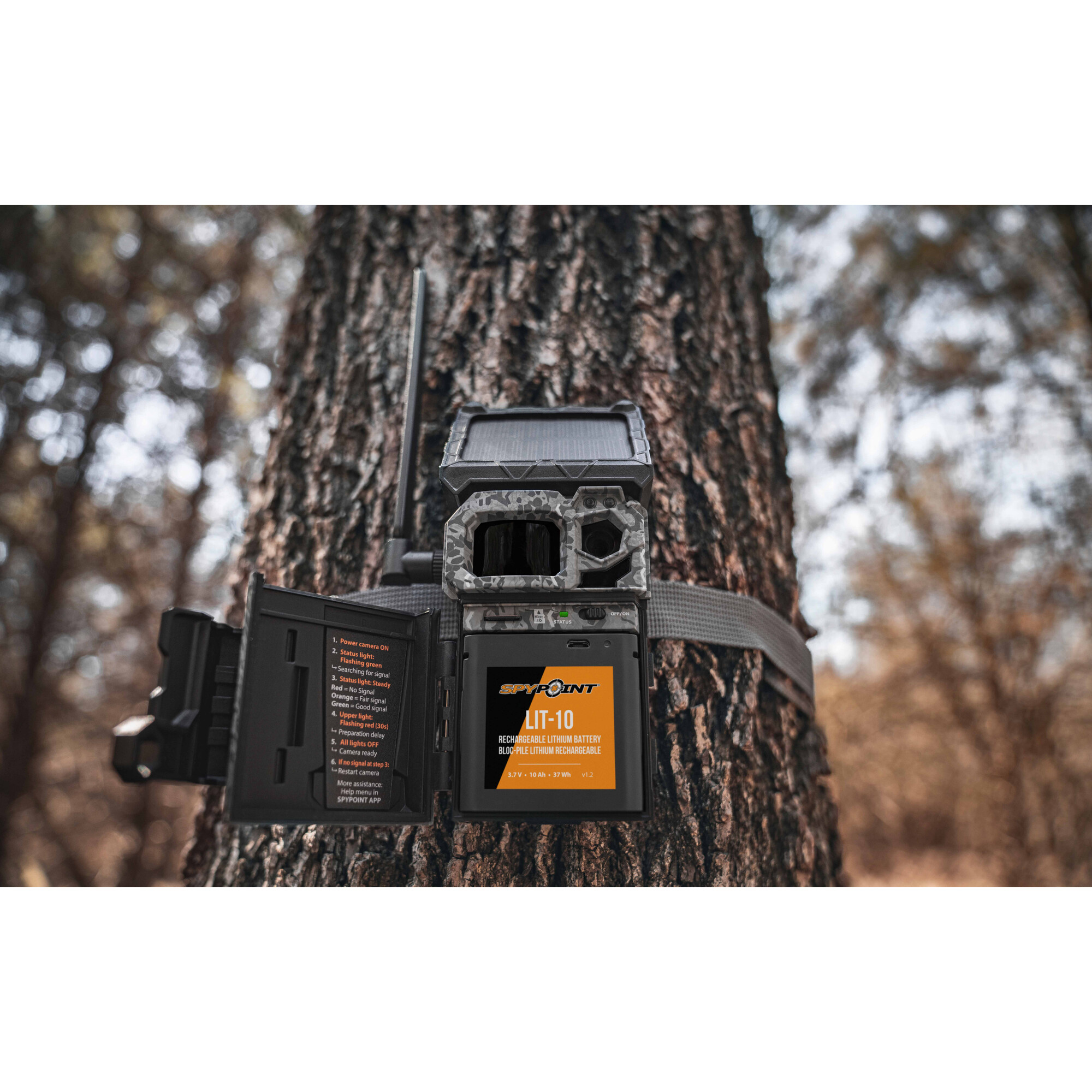 Eine Wildkamera ist an einem Baum befestigt. Sie hat ein Tarnmuster, ein Solarpanel und ein offenes Batteriefach.