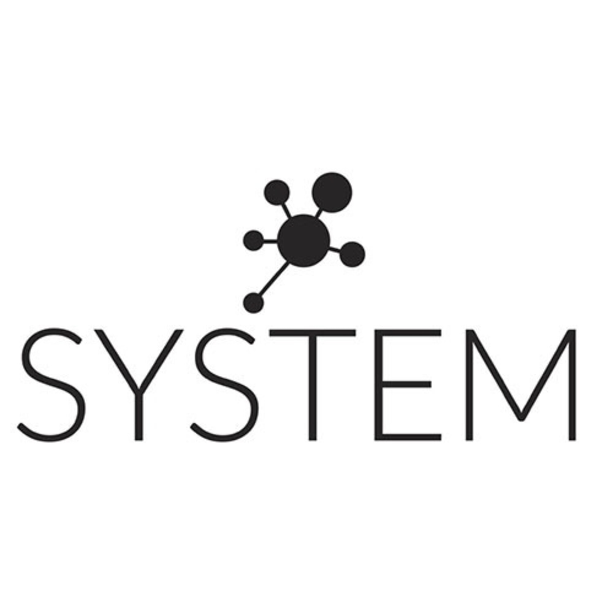 Das Wort SYSTEM in Schwarz, mit einer schwarzen Molekularstruktur über dem Wort auf weißem Hintergrund.