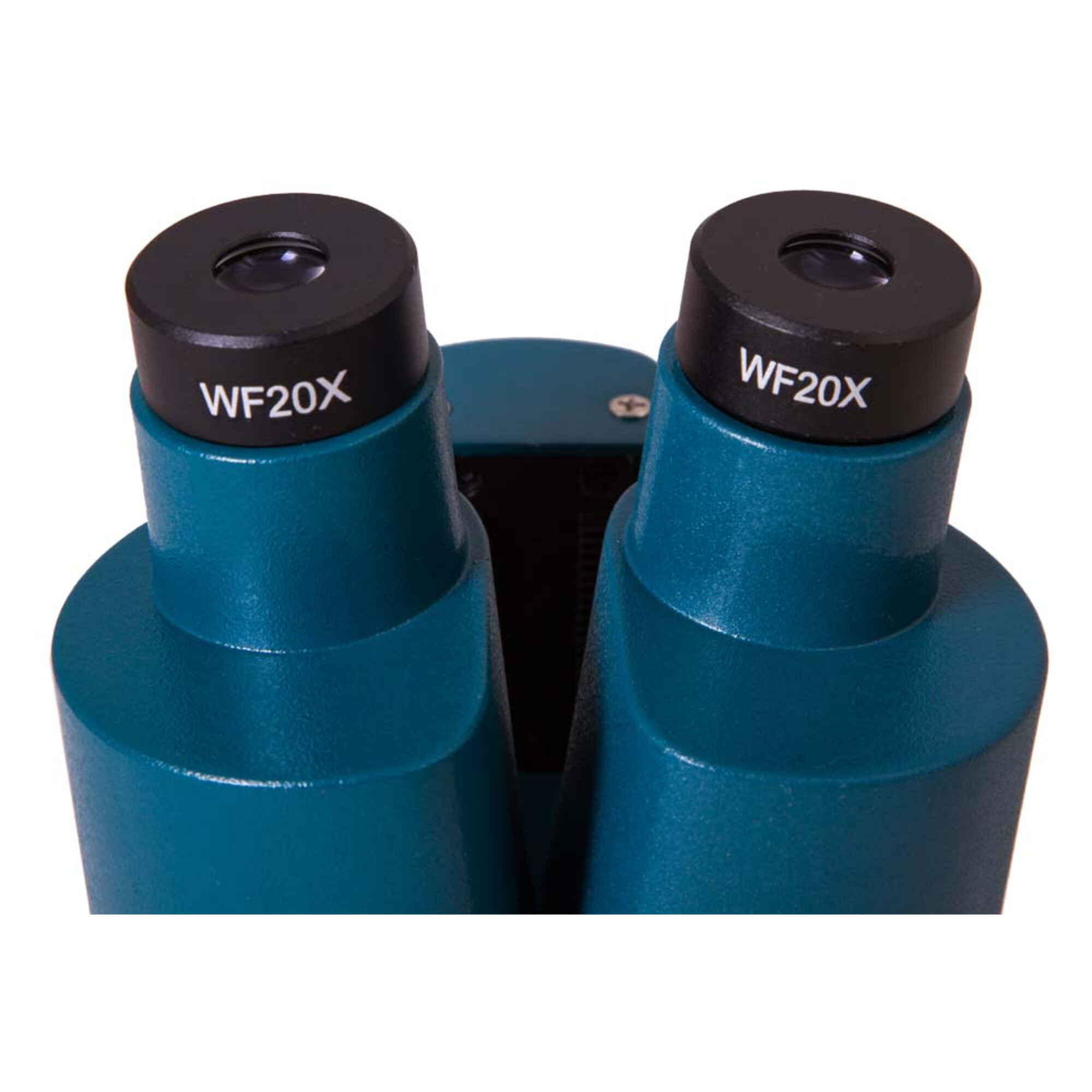 Nahaufnahme eines teal-Mikroskops. Zwei schwarze Okulare mit 'WF20X' sind sichtbar.