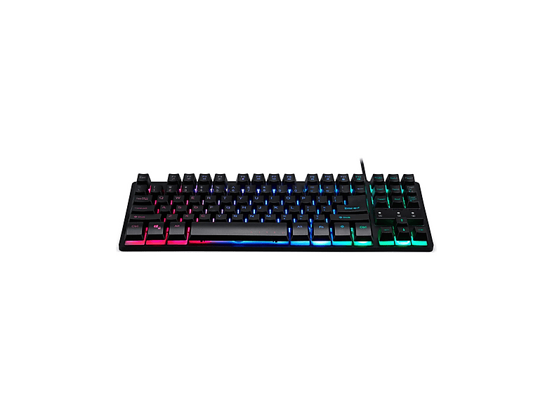 ACER Nitro TKL Rainbow GP.KBD11.02R Belirtilmemiş Oyuncu Klavyesi Siyah