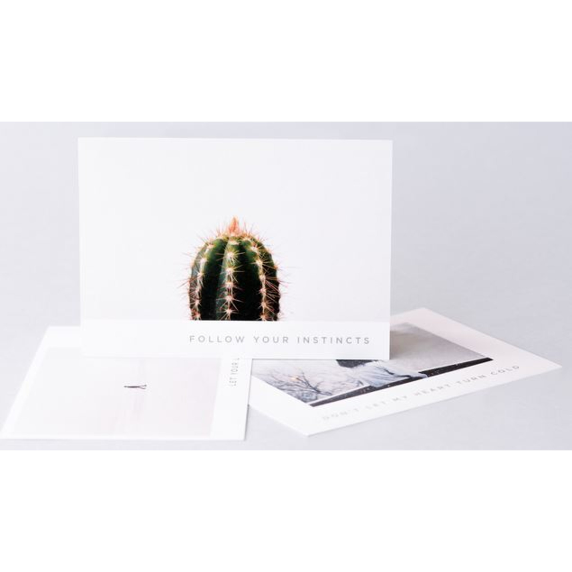 Ein Kaktus auf einer Karte mit 'Follow Your Instincts' und zwei weiteren Karten mit minimalistischen Bildern.