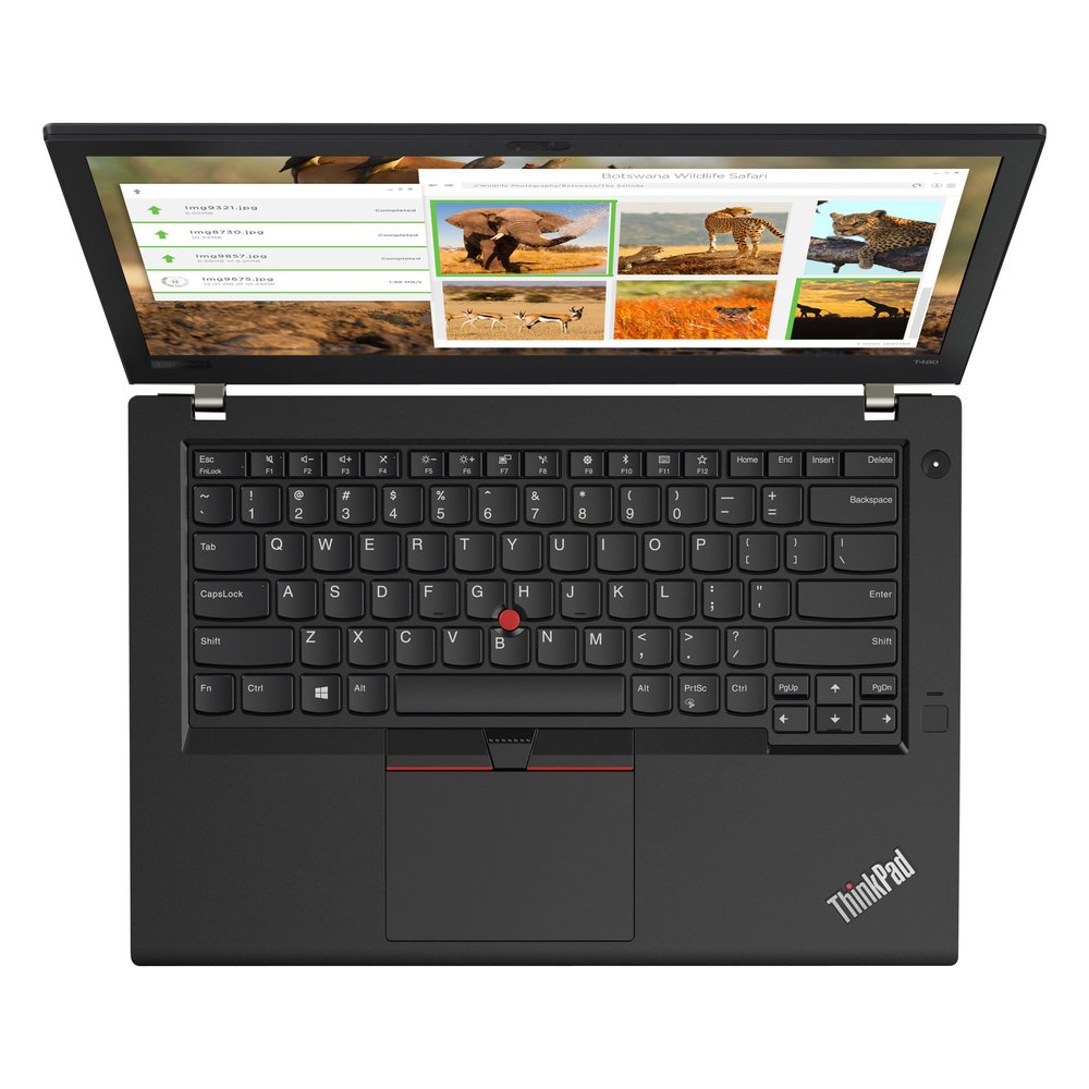 Una computadora portátil ThinkPad negra está abierta, mostrando un sitio web de safari de vida silvestre. El teclado es visible. La pantalla muestra imágenes de safari.
