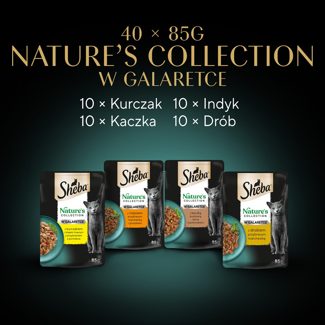 Obraz przedstawia saszetki karmy dla kotów Sheba z ilustracją kota. Tekst zawiera 'Nature's Collection' i warianty smakowe.