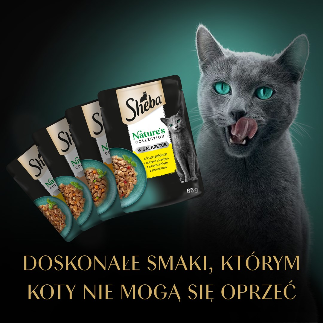 Szary kot z zielonymi oczami oblizuje wargi, obok saszetek karmy dla kotów Sheba. Tekst w języku polskim: Pyszne smaki, którym koty nie mogą się oprzeć.