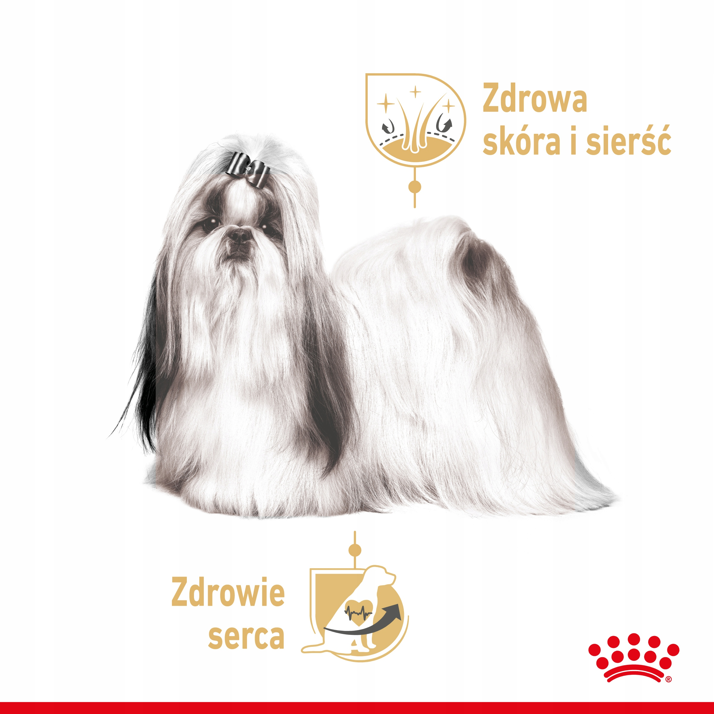 Pies rasy Shih Tzu z czarno-białą sierścią. Tekst: „Zdrowa skóra i sierść” oraz „Zdrowe serce” z ikonami.
