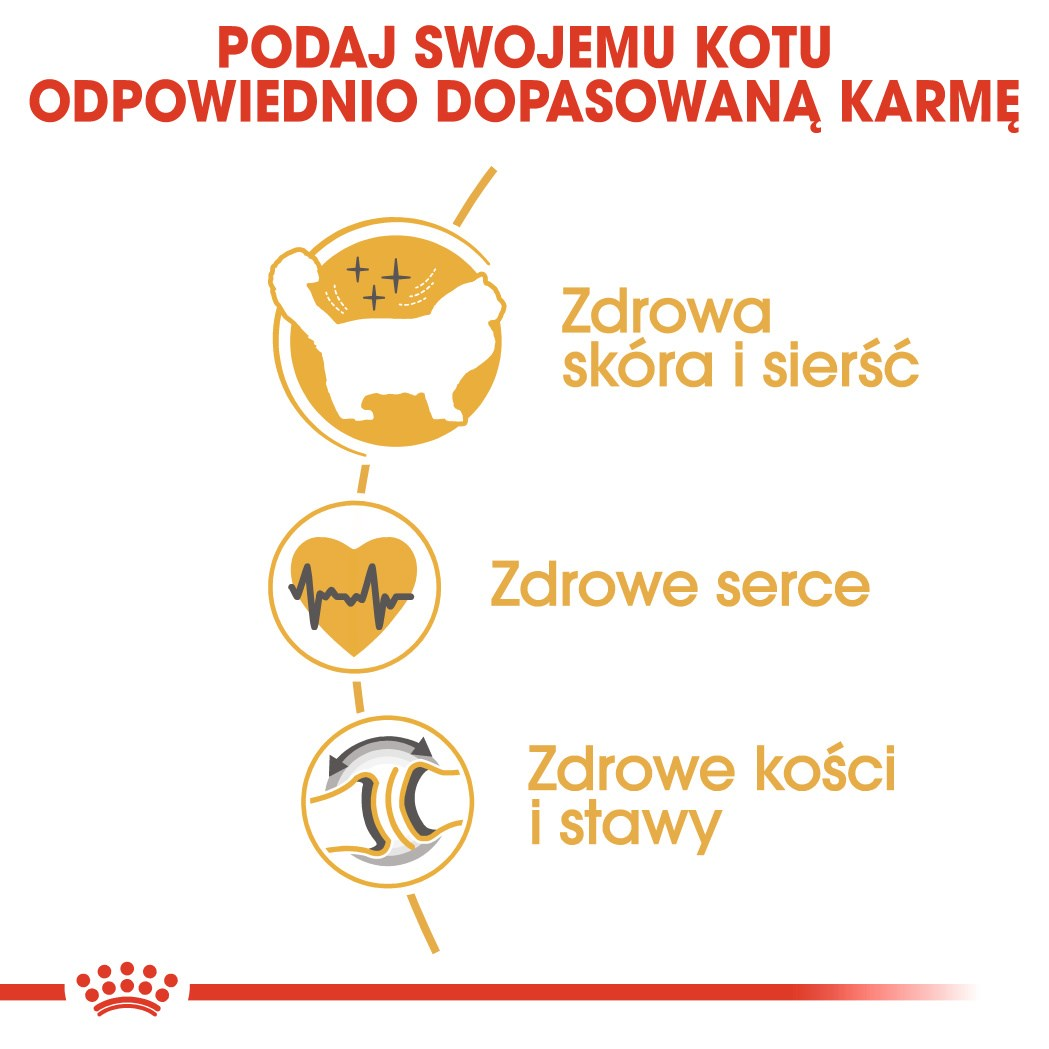 Reklama z tekstem i ilustracjami o karmie dla kotów. Pokazuje kota, serce i kości, z tekstem po polsku.