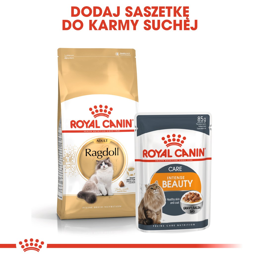 Dwie torby karmy dla kotów Royal Canin. Jedna torba karmy suchej dla kotów Ragdoll, jedna saszetka karmy mokrej dla Intense Beauty.